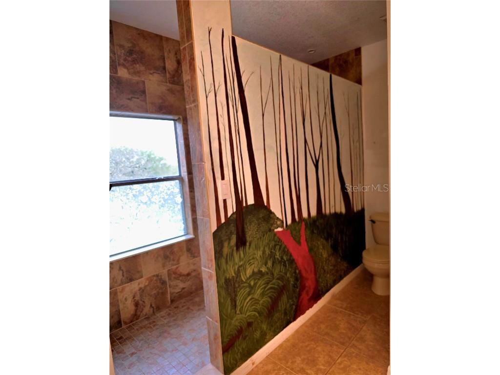 25012 Chipshot Court Sorrento FL 32776 O6290961 image31