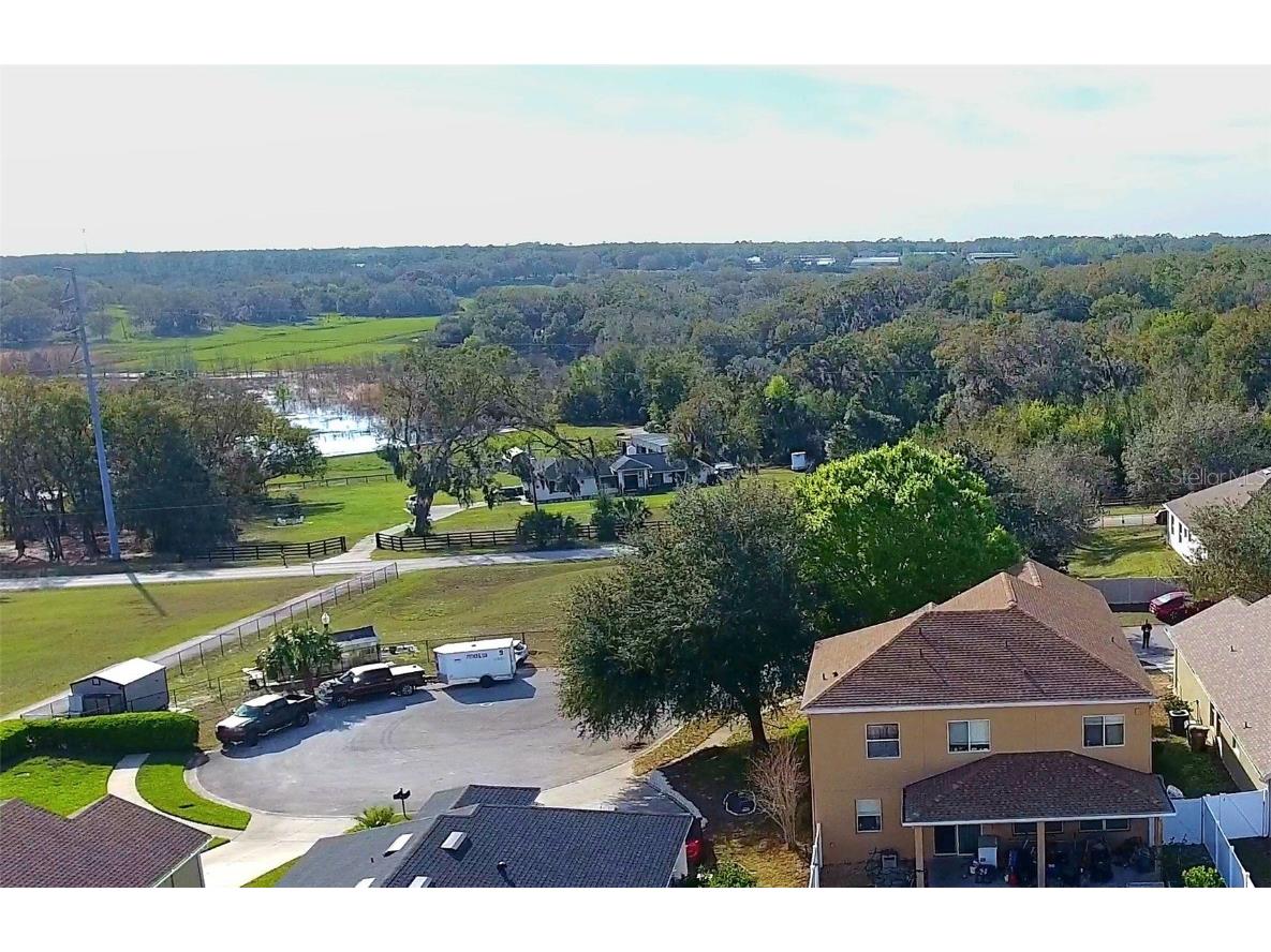 25012 Chipshot Court Sorrento FL 32776 O6290961 image5