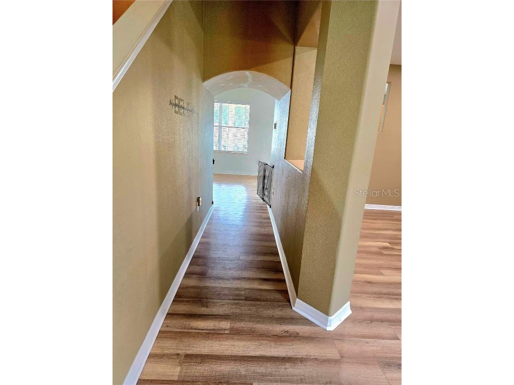 25012 Chipshot Court Sorrento FL 32776 O6290961 image6