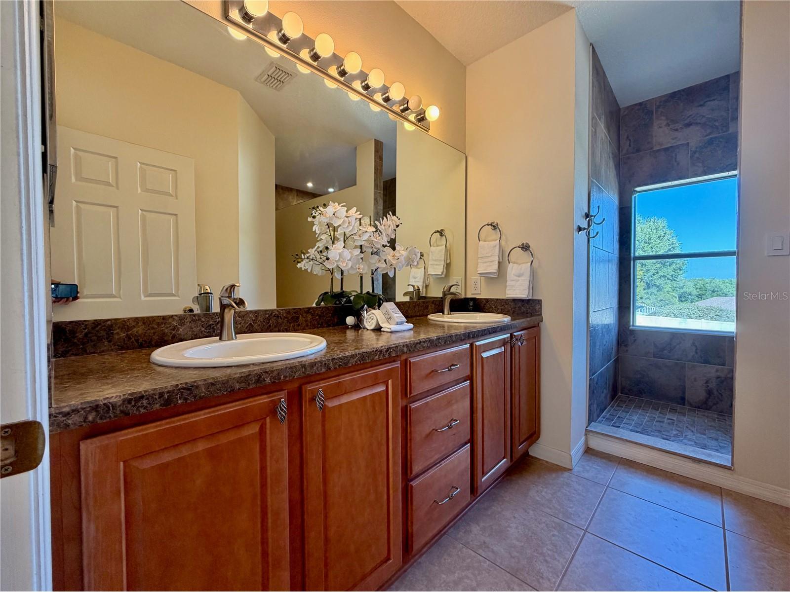 25012 Chipshot Court Sorrento FL 32776 O6397639 image24
