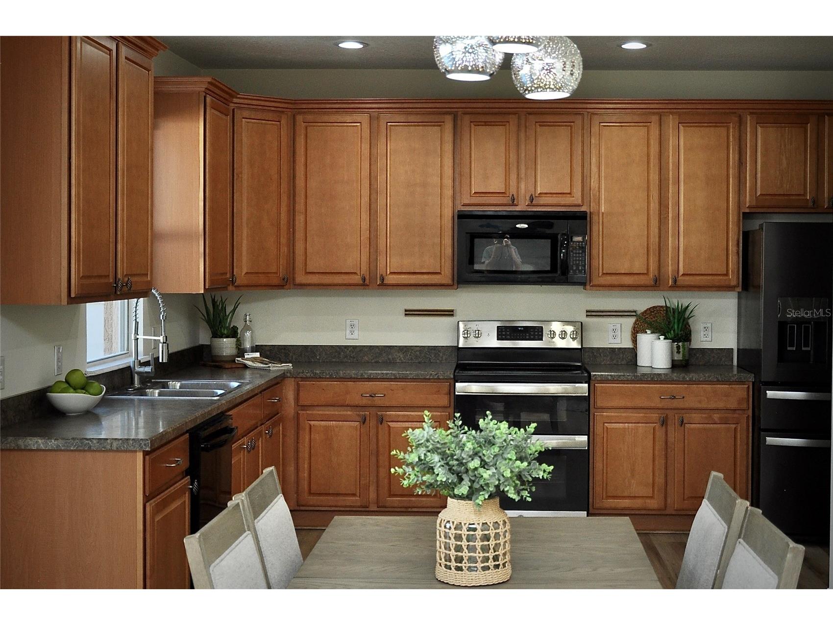 25012 Chipshot Court Sorrento FL 32776 O6397639 image3
