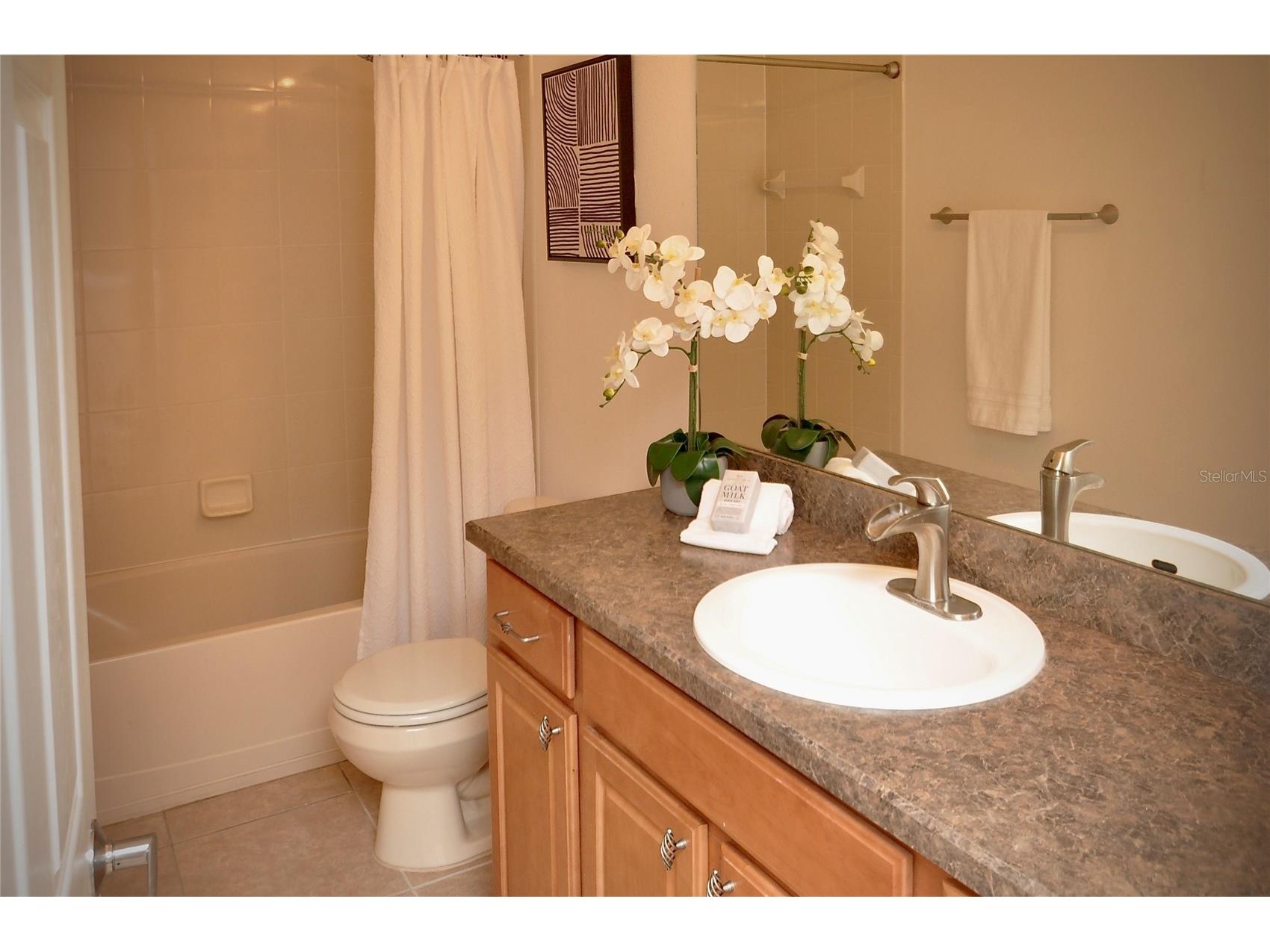 25012 Chipshot Court Sorrento FL 32776 O6397639 image32