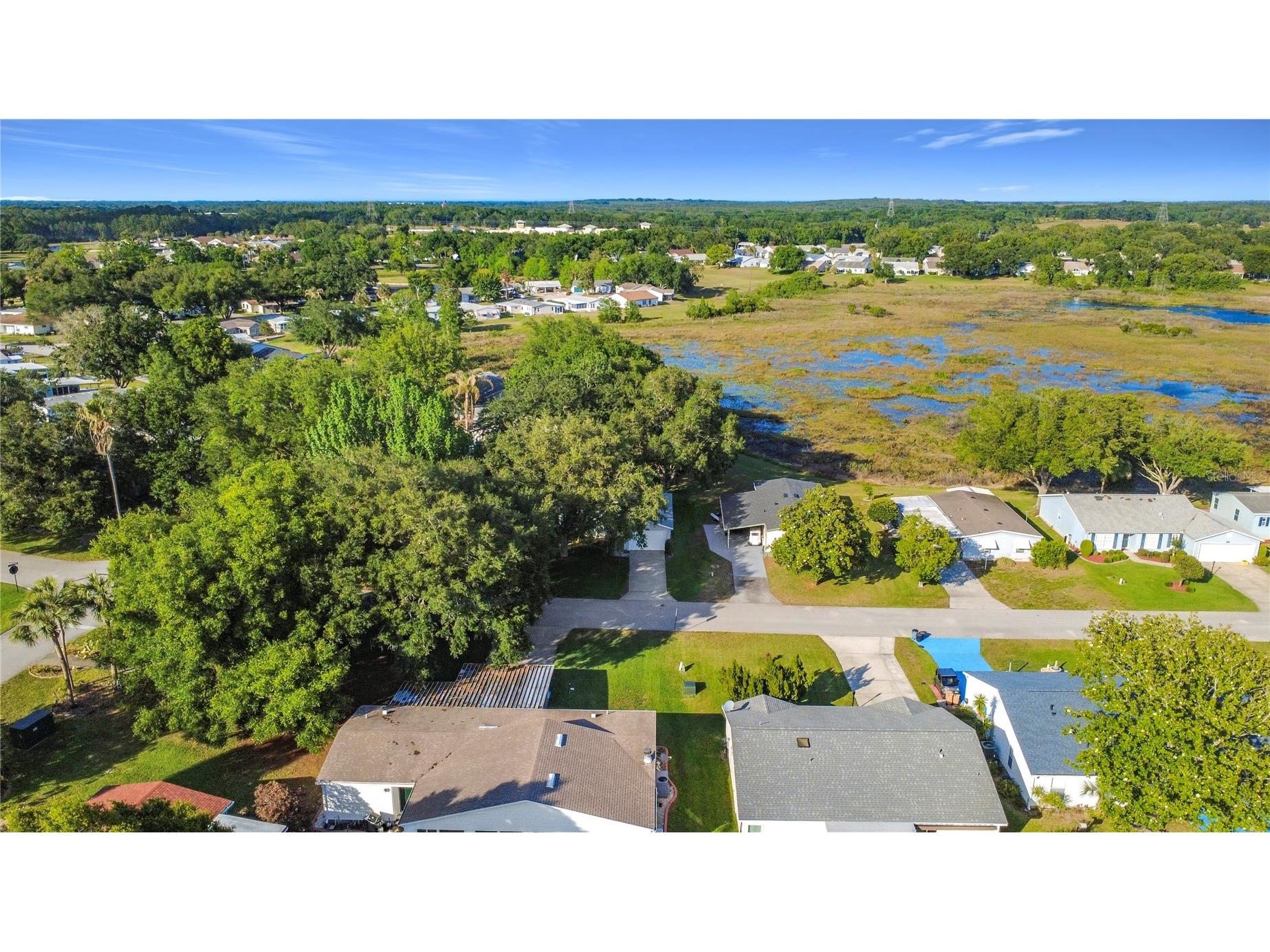25014 Pine Hill Leesburg FL 34748 G5111822 image2