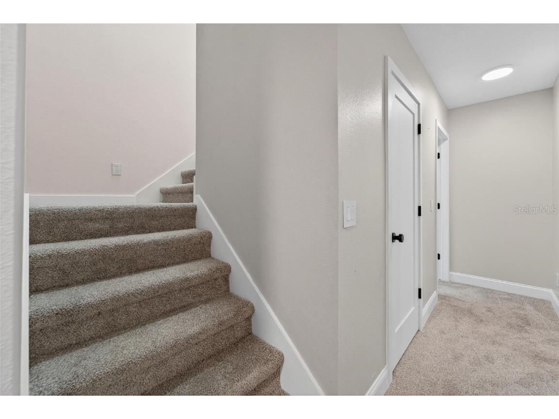 2502 Bonterra Boulevard Valrico FL 33594 TB8418347 image61