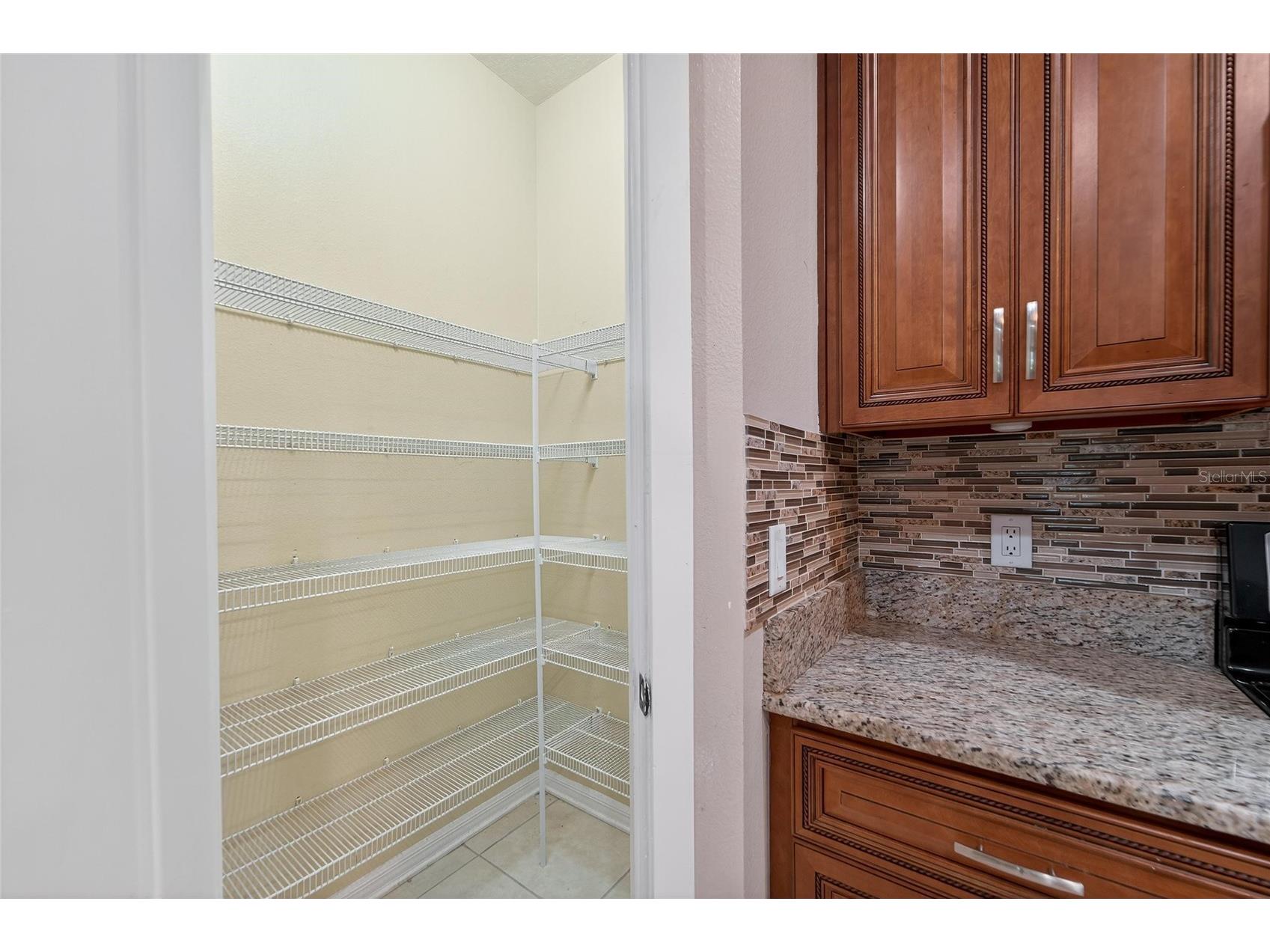 2502 Bonterra Boulevard Valrico FL 33594 TB8475536 image28