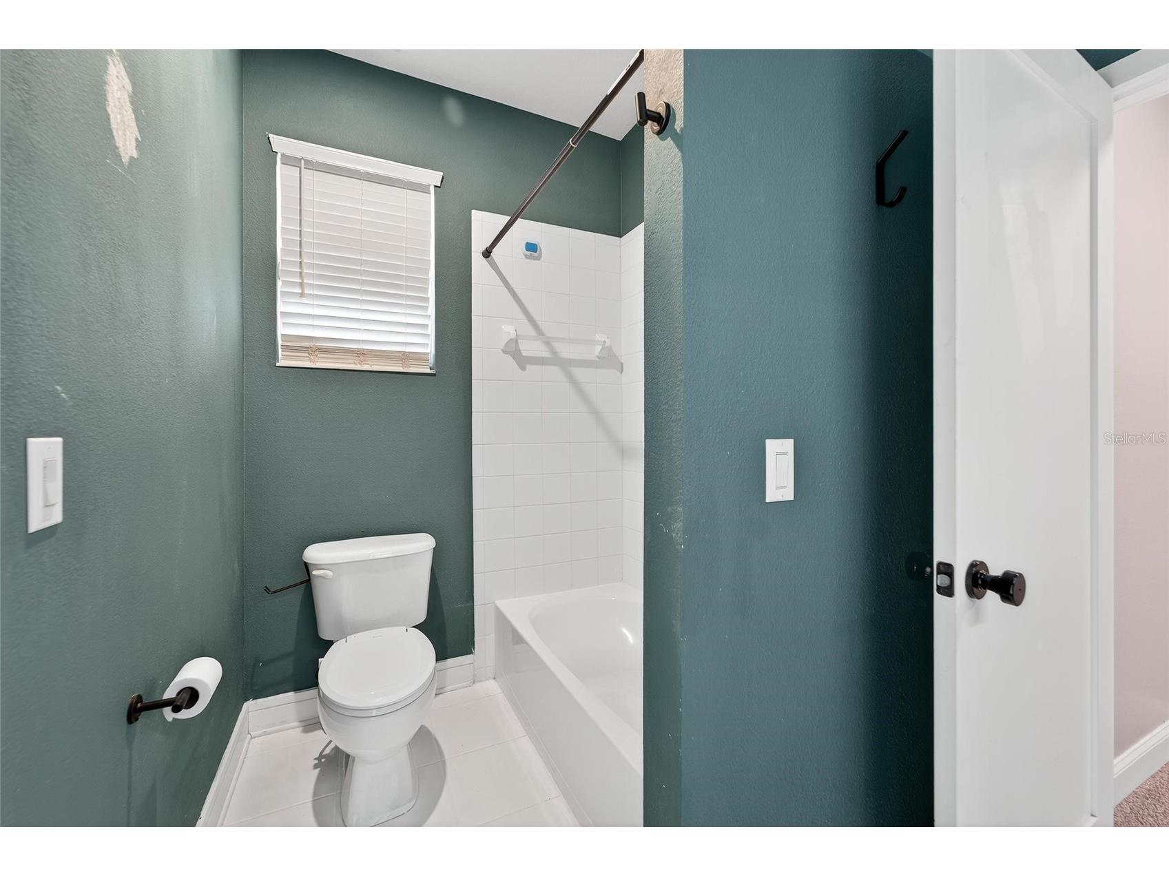 2502 Bonterra Boulevard Valrico FL 33594 TB8475536 image41