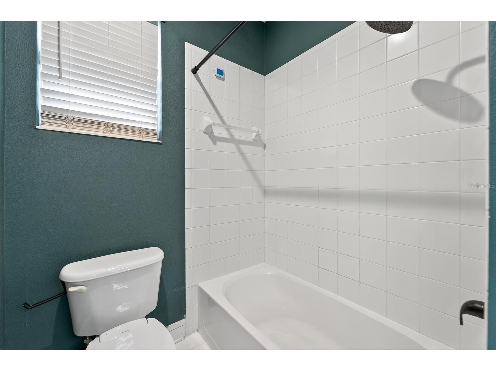 2502 Bonterra Boulevard Valrico FL 33594 TB8475536 image42