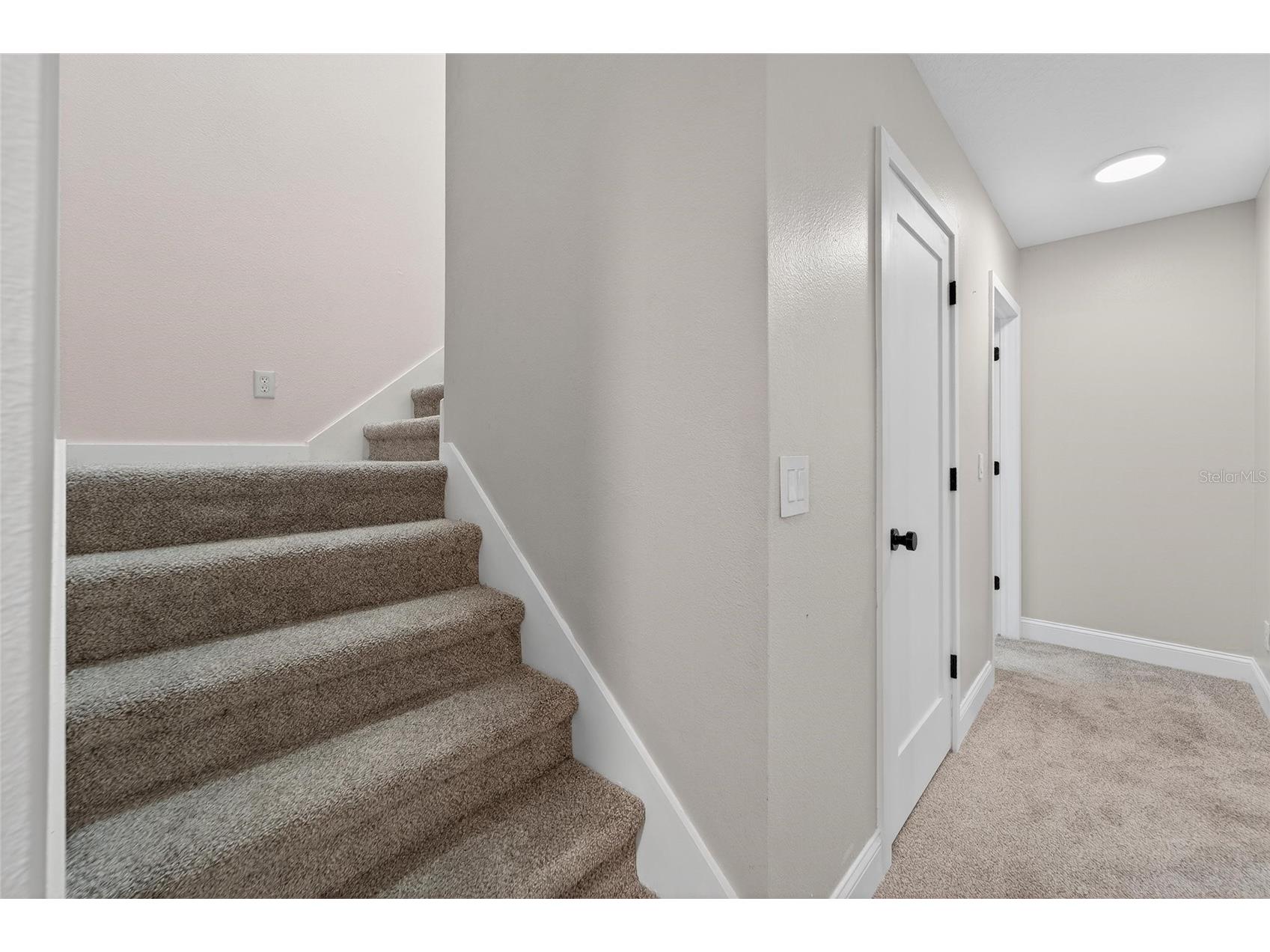 2502 Bonterra Boulevard Valrico FL 33594 TB8475536 image52