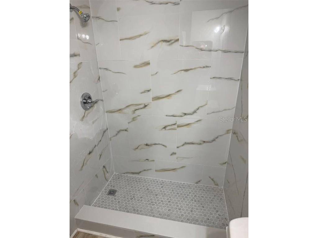 2502 Chestnut Woods Drive Lakeland FL 33815 TB8379858 image6