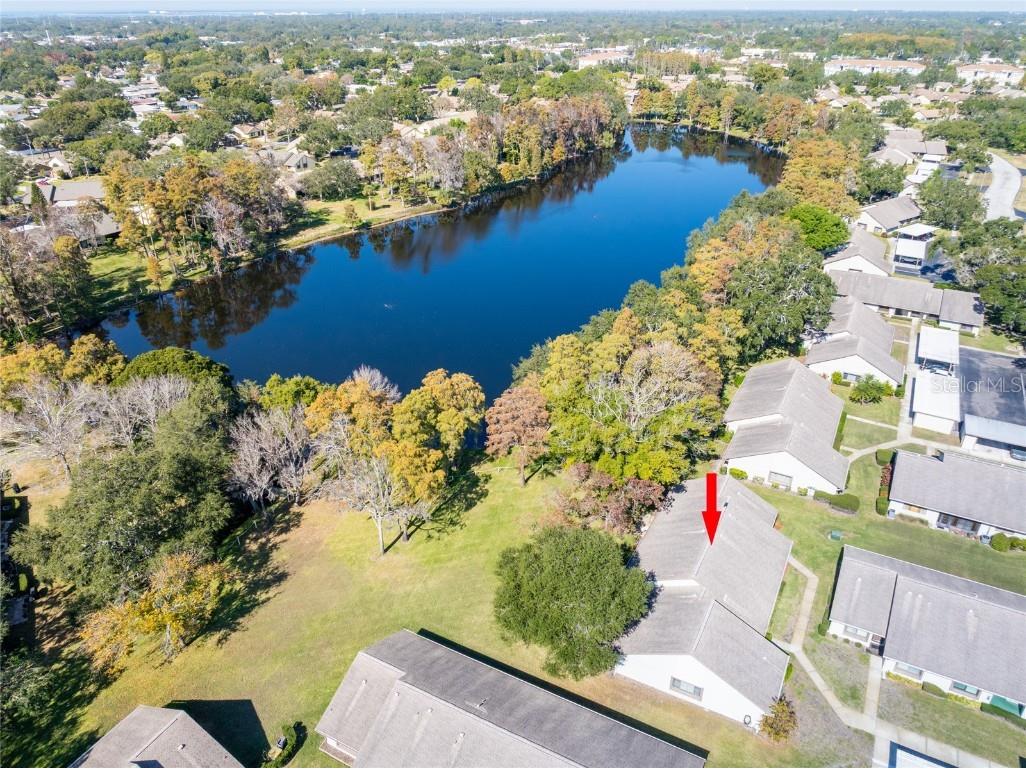 2502 Laurelwood Drive #3B Clearwater FL 33763 TB8449853 image1