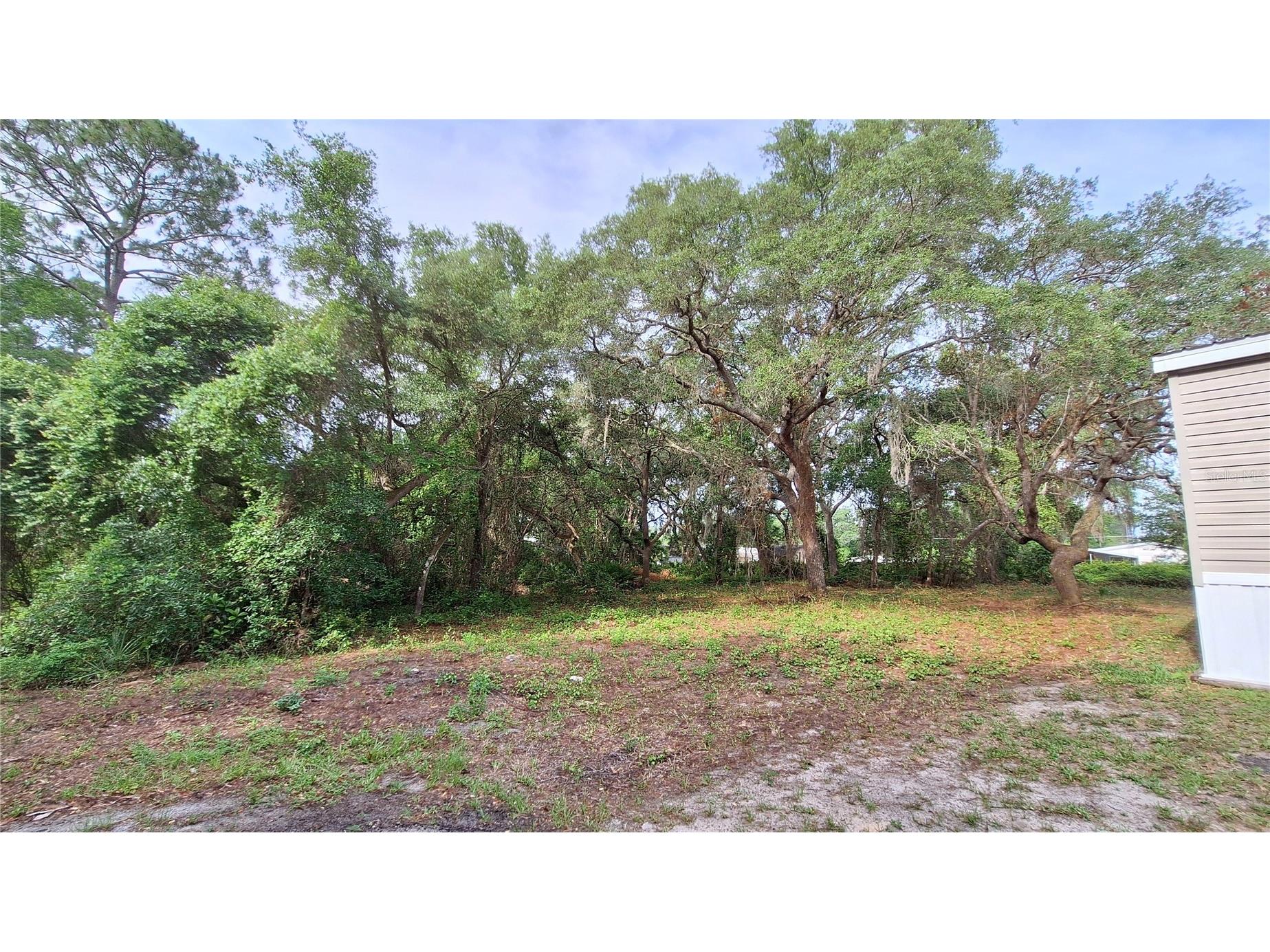2502 SE 179th Avenue Silver Springs FL 34488 OM724525 image13