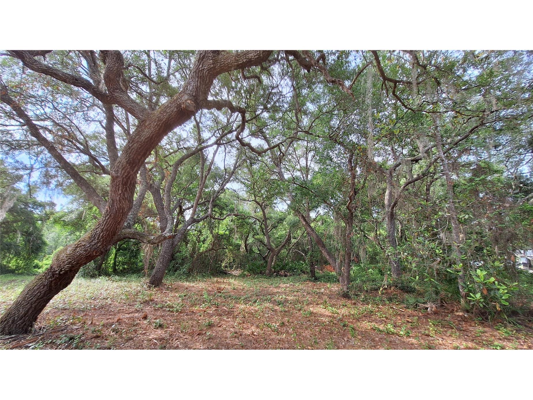 2502 SE 179th Avenue Silver Springs FL 34488 OM724525 image16