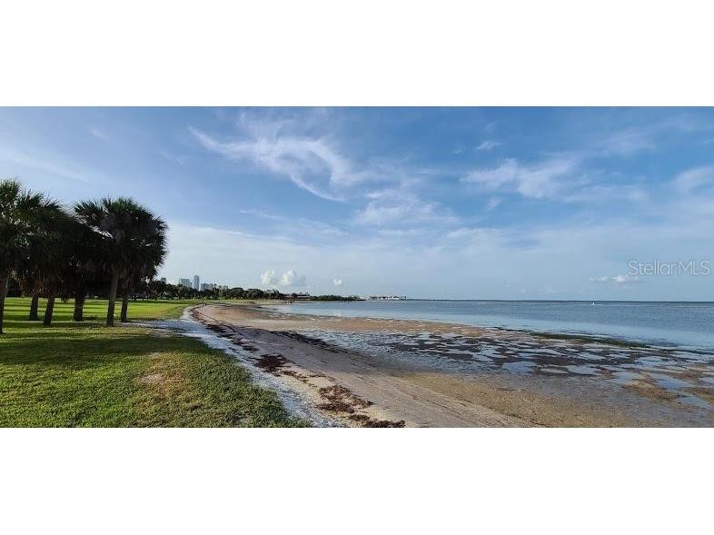 2502 Tropical Shores Drive SE Saint Petersburg FL 33705 O6388704 image63