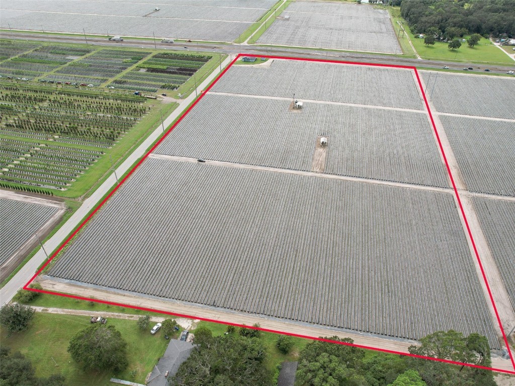 2502 W State Road 60 Plant City FL 33567 U8217782 image1
