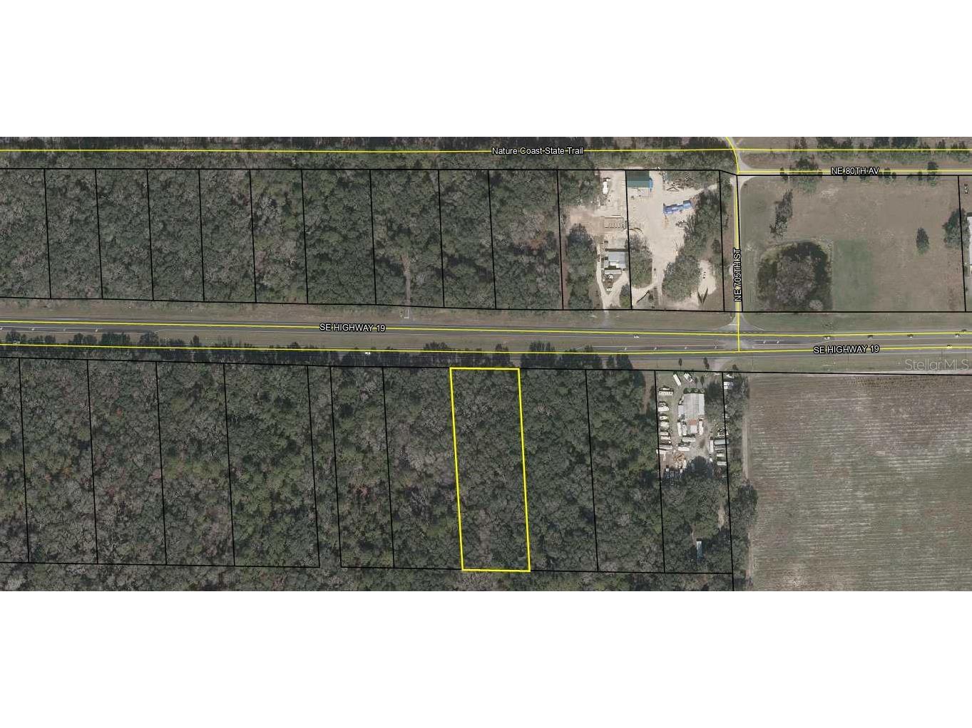 25022 SE Hwy 19 Old Town FL 32680 U8201089 image1