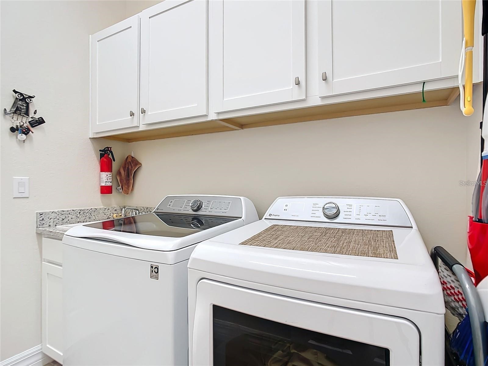 25025 Spartina Drive Venice FL 34293 D6141719 image36