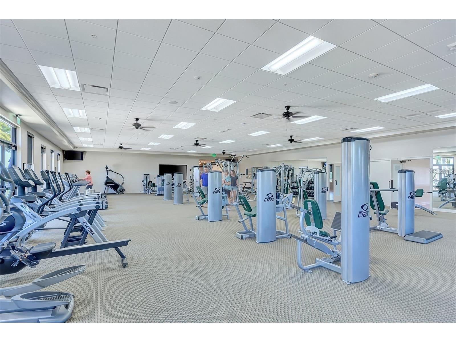 25025 Spartina Drive Venice FL 34293 D6141719 image53