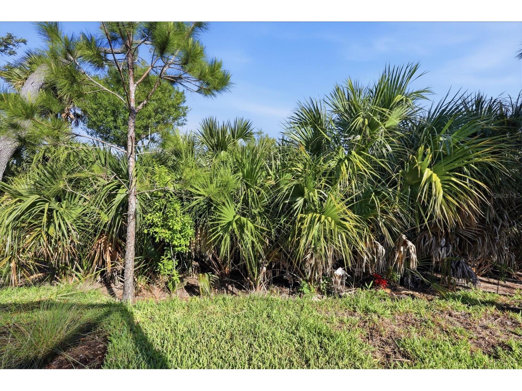 25029 Pearl Lake Circle Englewood FL 34223 C7525372 image40
