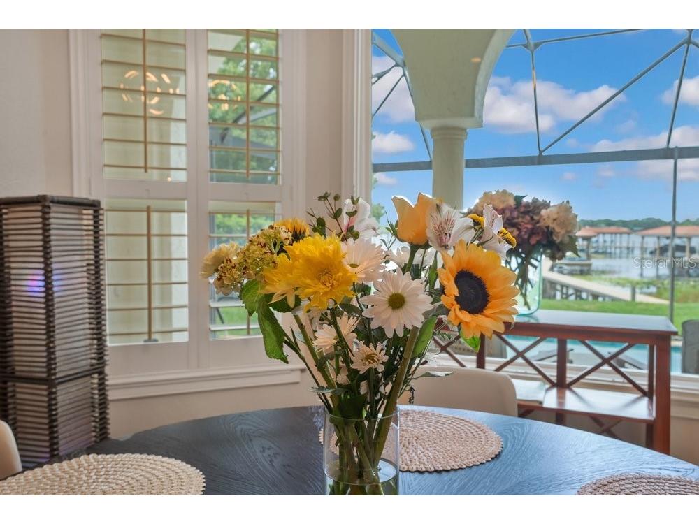 2503 Butler Bay Drive N Windermere FL 34786 - LAKE CRESCENT O6413242 image22