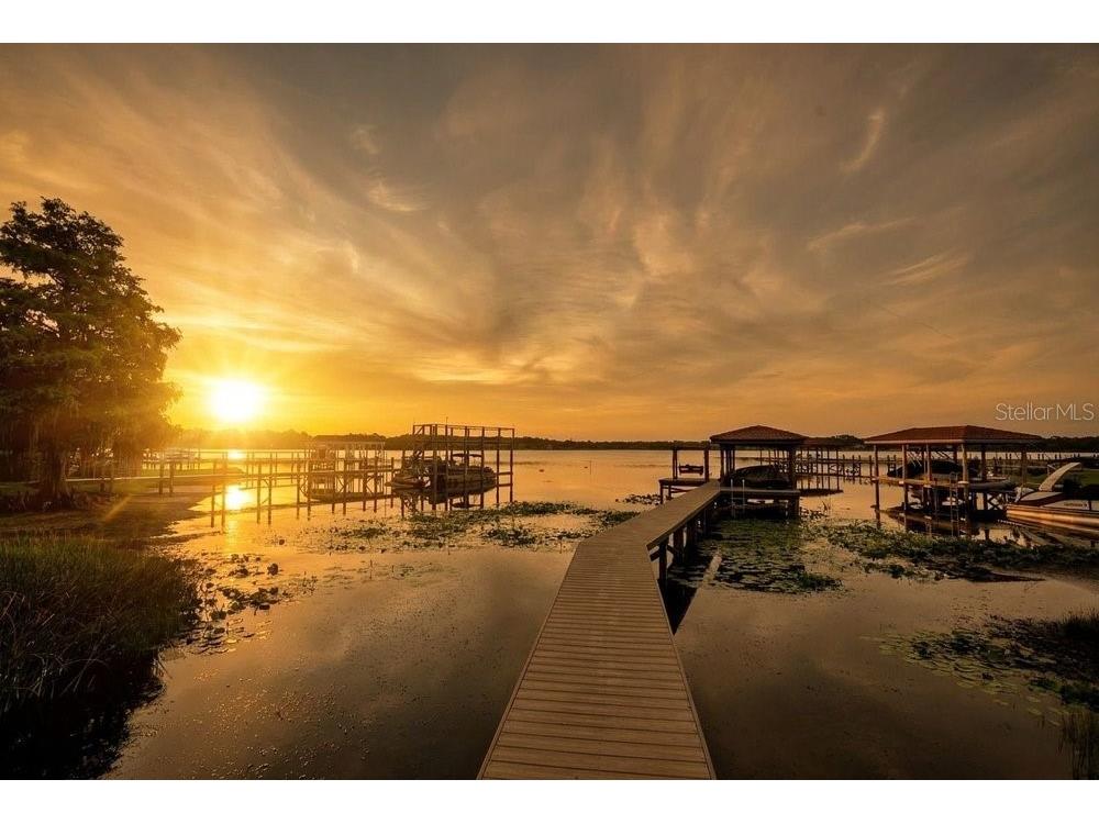 2503 Butler Bay Drive N Windermere FL 34786 - LAKE CRESCENT O6413242 image3