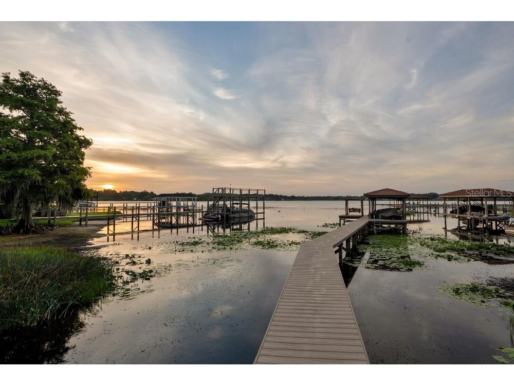2503 Butler Bay Drive N Windermere FL 34786 - LAKE CRESCENT O6413242 image75