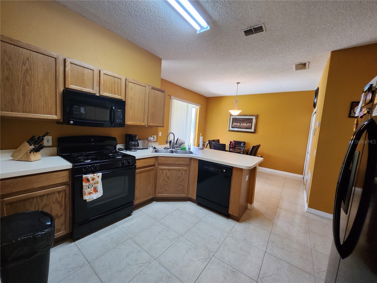 2503 Buttercup Court Kissimmee FL 34758 S5152013 image8