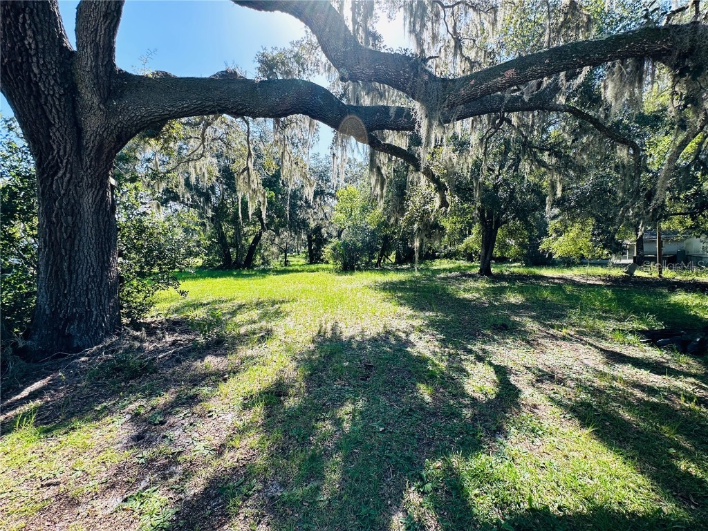 2503 Deleon Drive Deland FL 32724 V4931763 image1