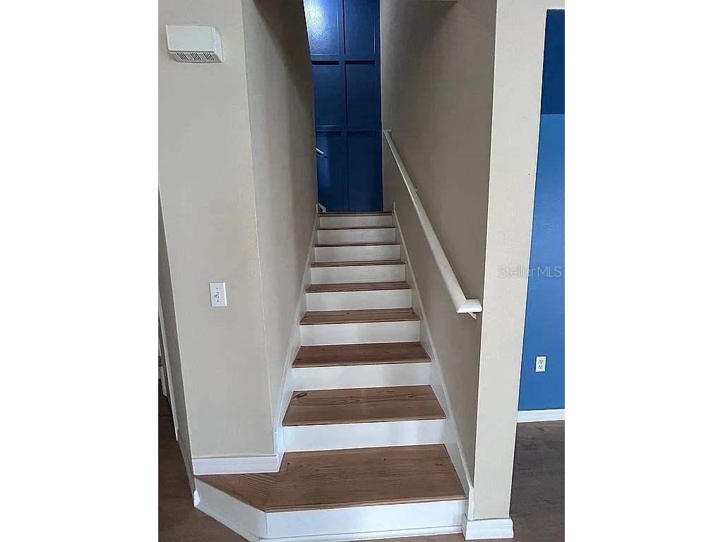 2503 Hassonite Street Kissimmee FL 34744 S5137504 image9