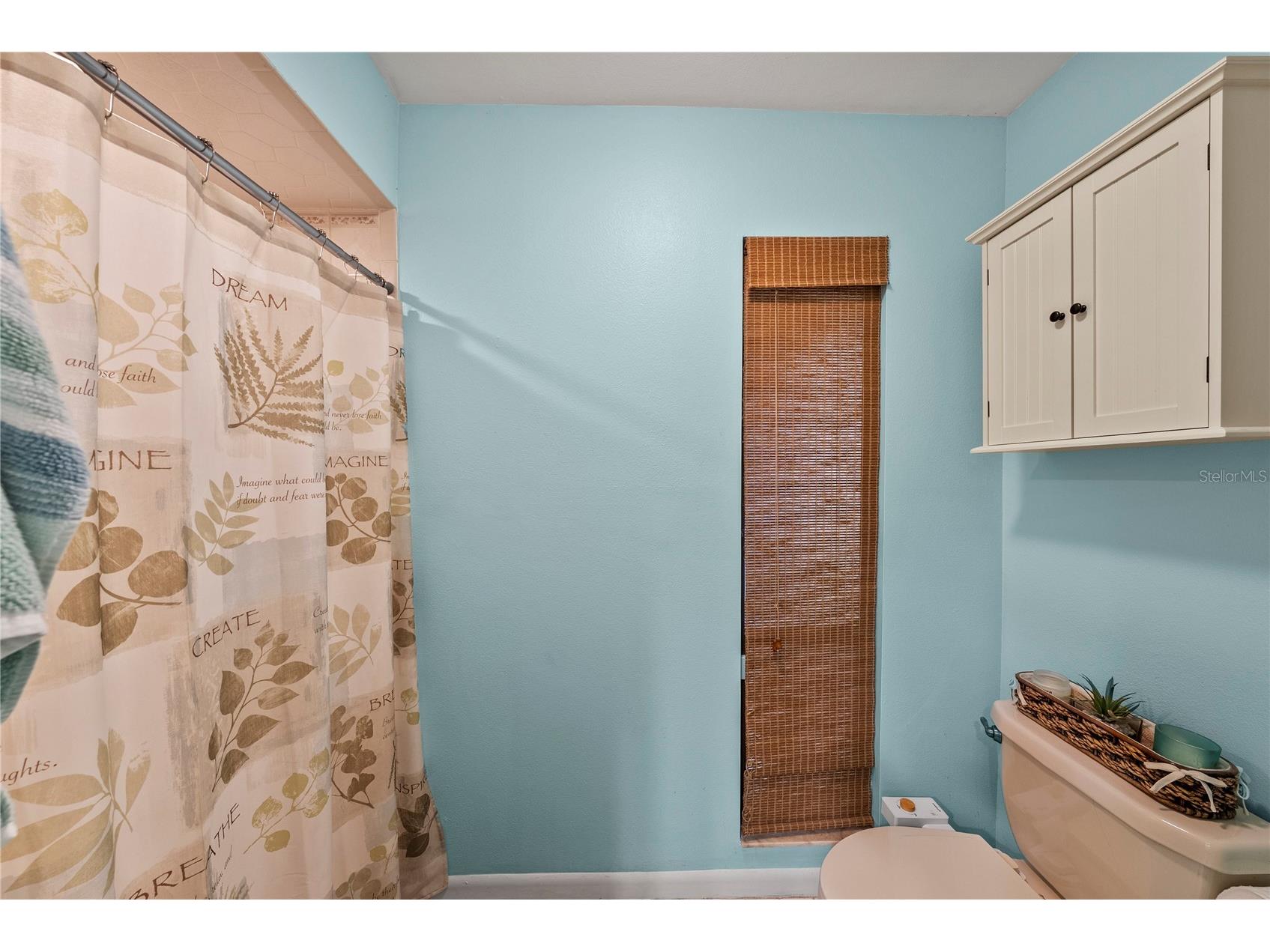 2503 High Oaks Lane Lutz FL 33559 TB8513345 image24
