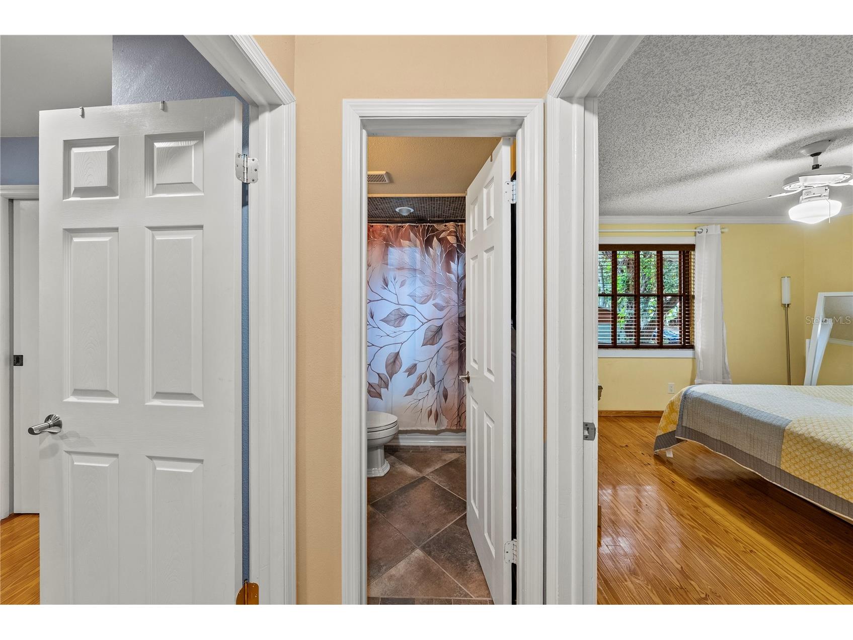 2503 High Oaks Lane Lutz FL 33559 TB8513345 image36