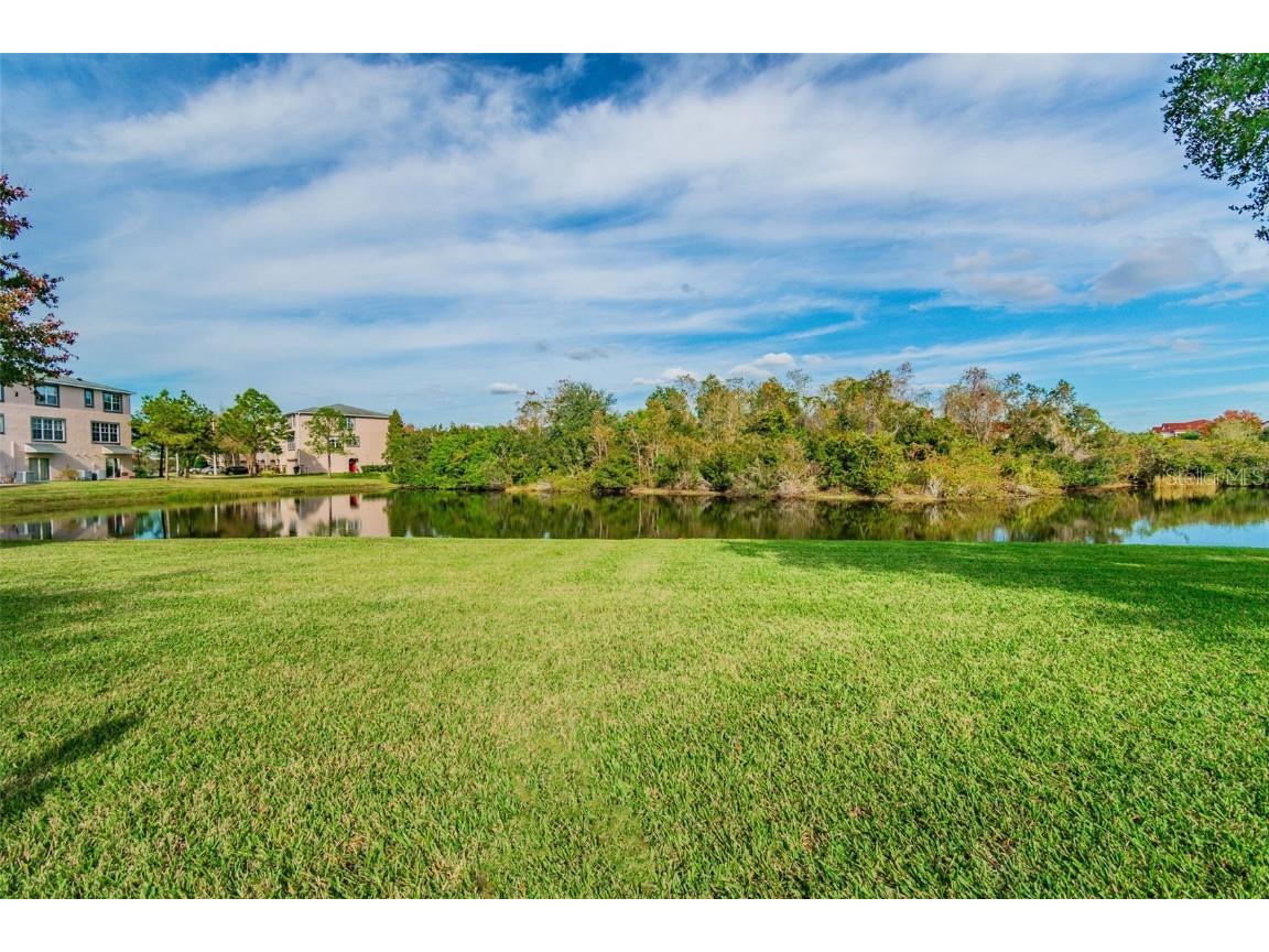 2503 Middleton Grove Drive Brandon FL 33511 TB8445718 image36