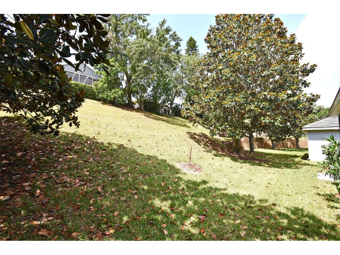 2503 Squaw Creek Clermont FL 34711 O6305935 image39