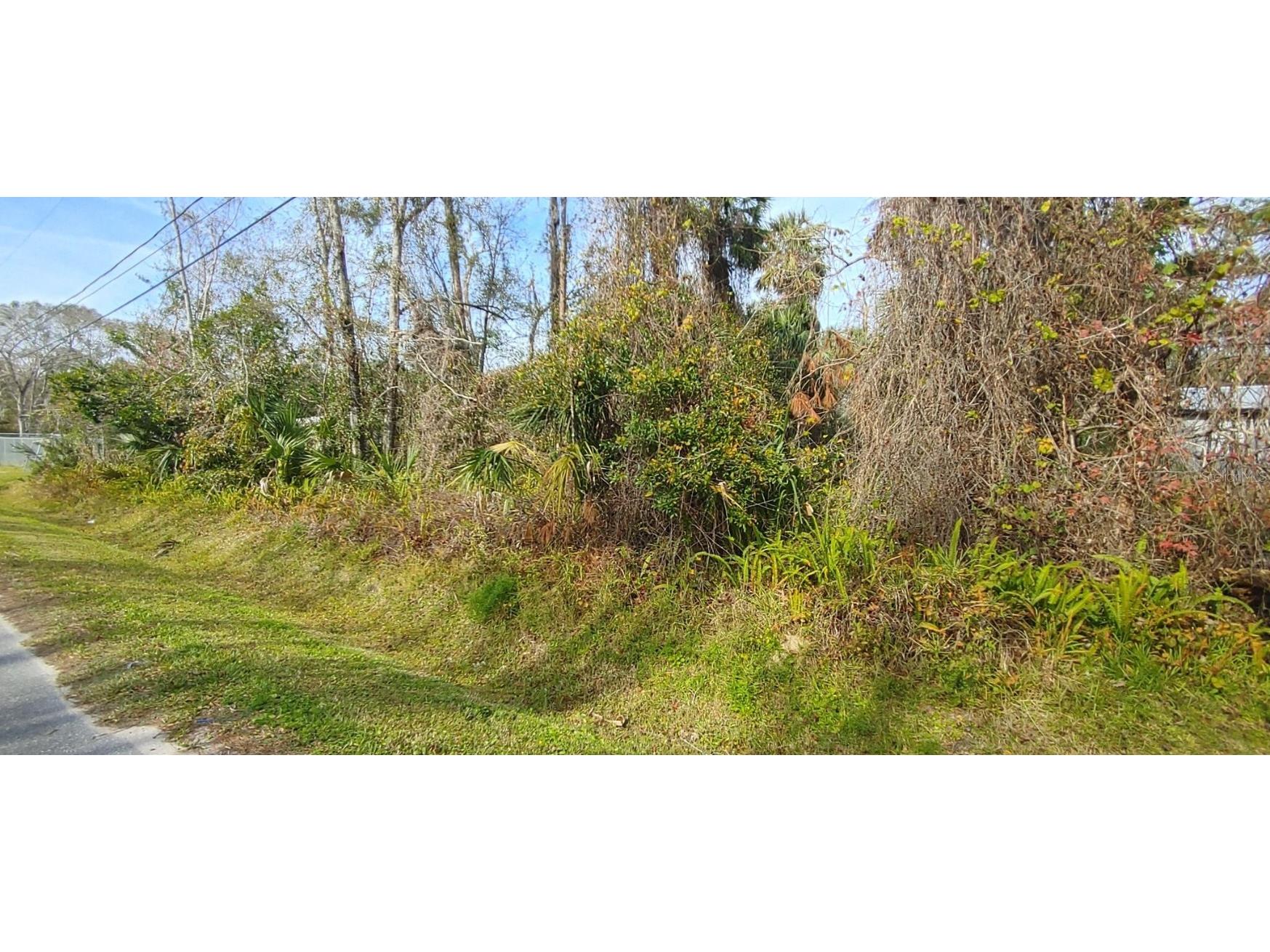 25035 Mathew Street Christmas FL 32709 O6084621 image1