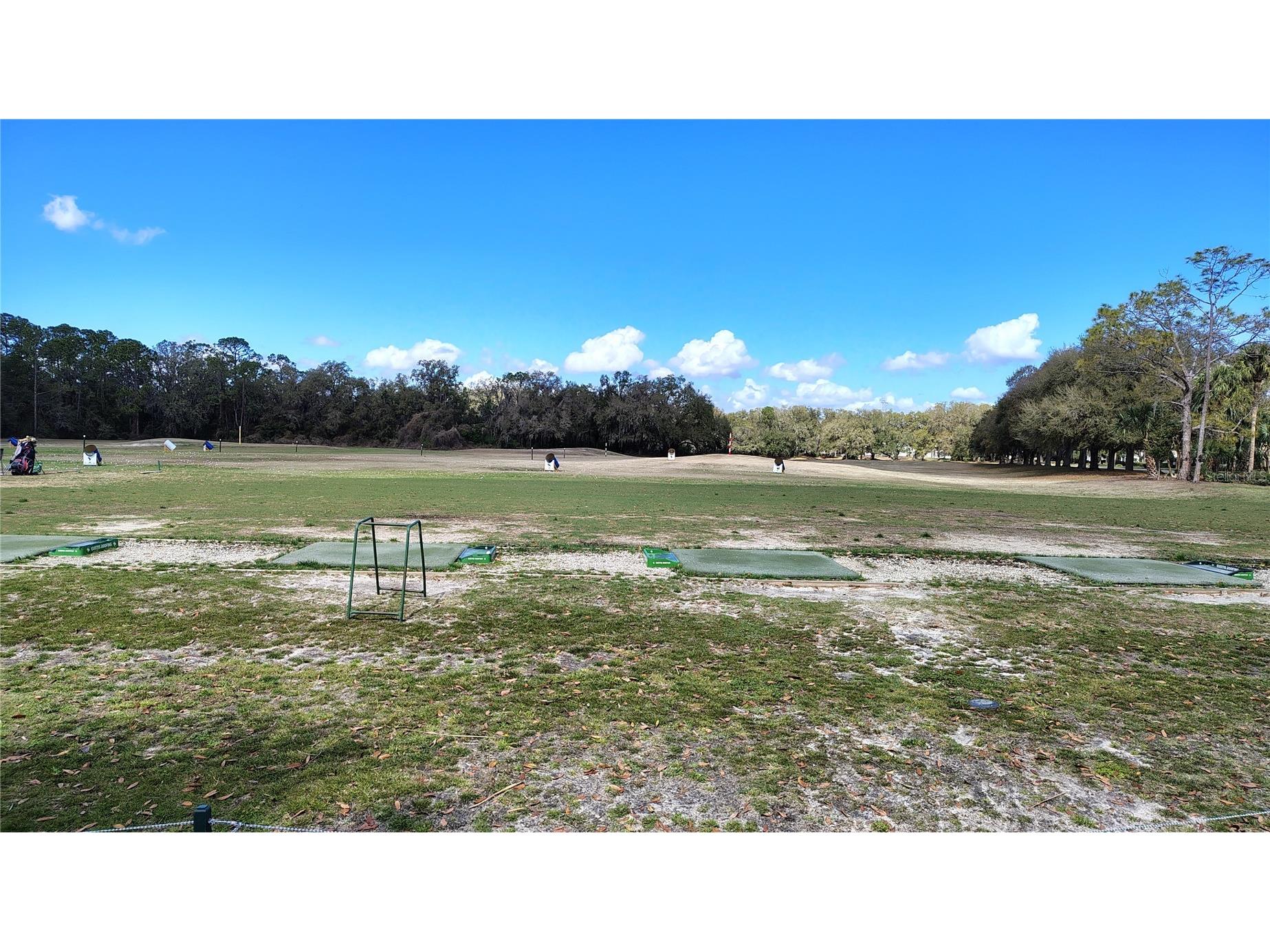 25039 Pine Hill Leesburg FL 34748 G5108806 image38