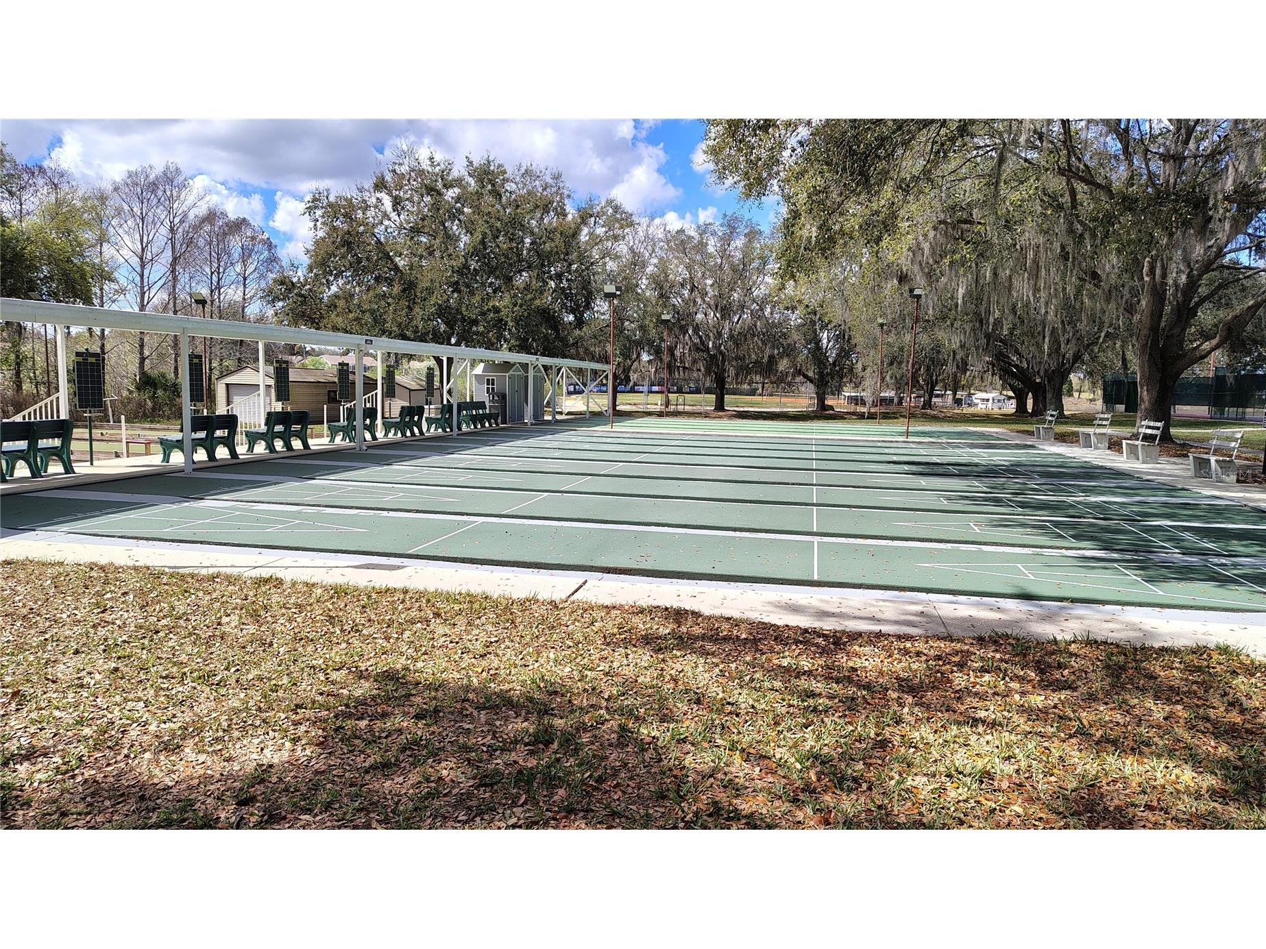 25039 Pine Hill Leesburg FL 34748 G5108806 image51