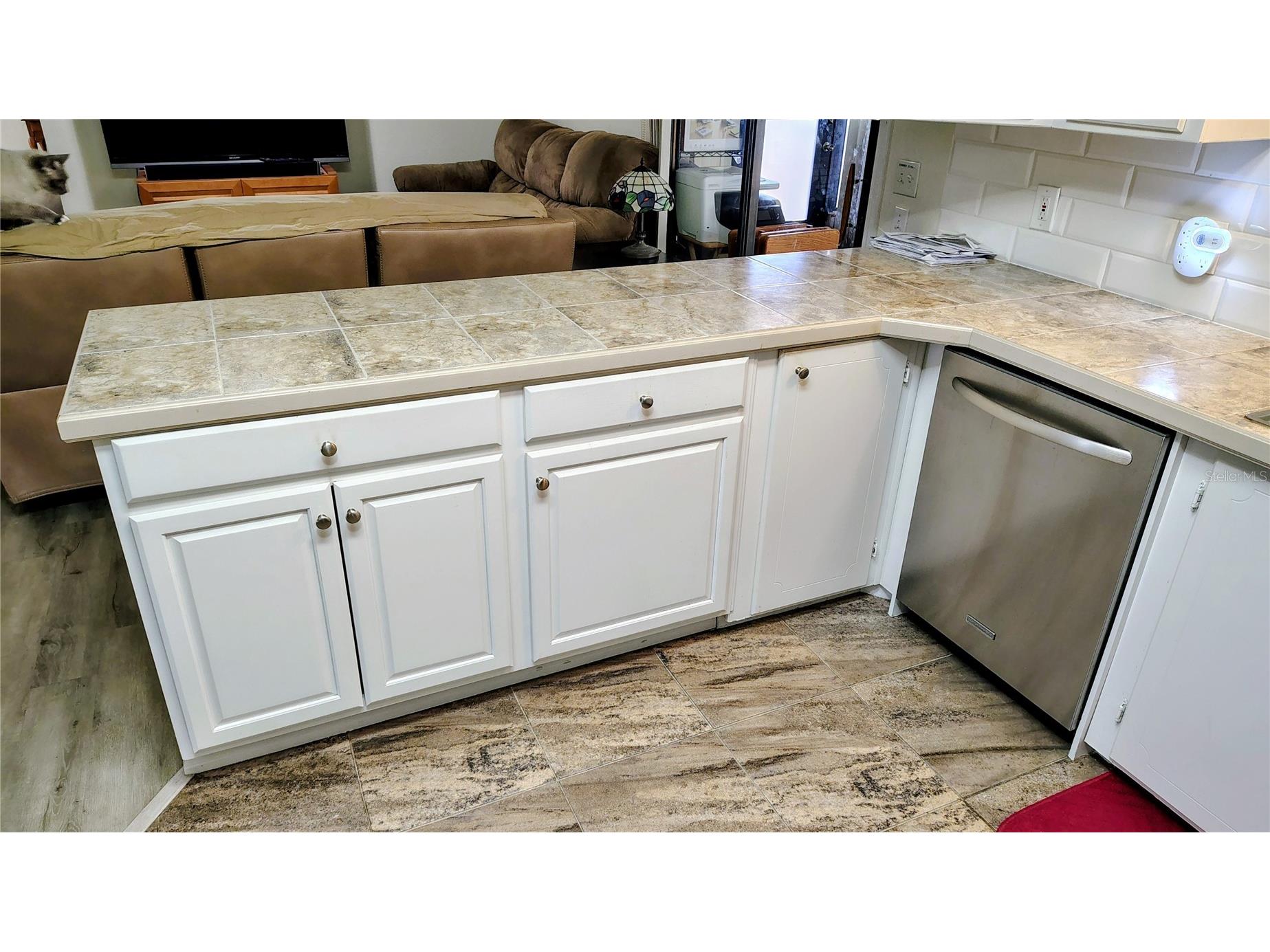 25039 Pine Hill Leesburg FL 34748 G5108806 image8