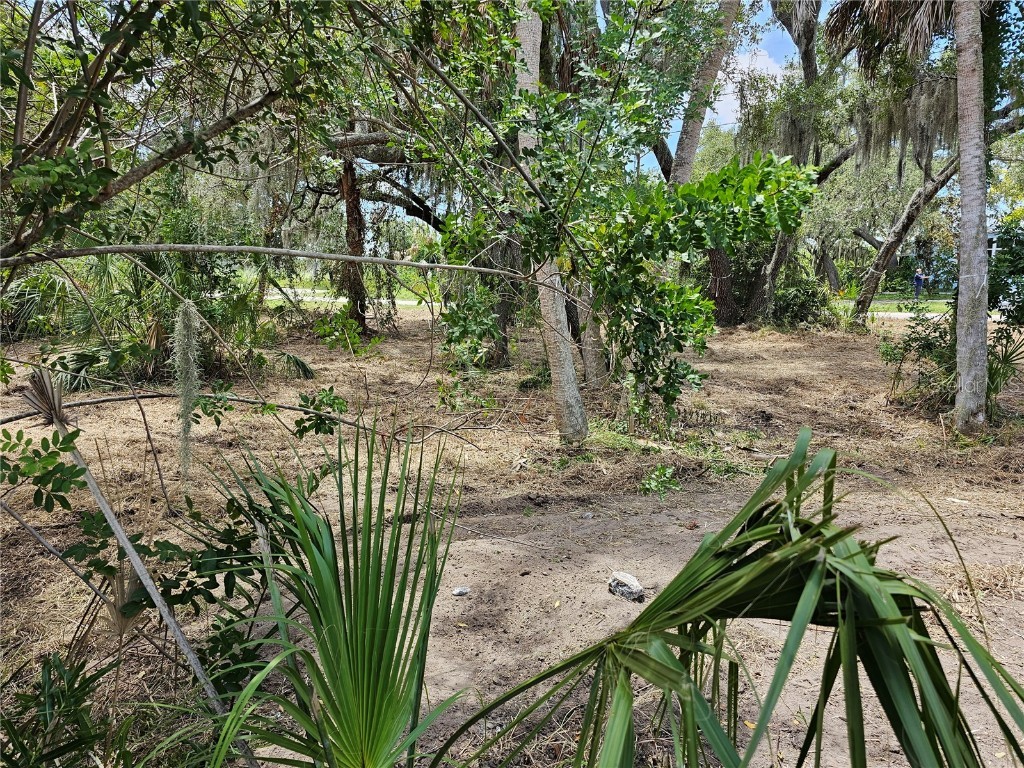 2504 2506 and 2508 River Bend Drive Ruskin FL 33570 - LITTLE MANATEE RIVER T3552955 image4