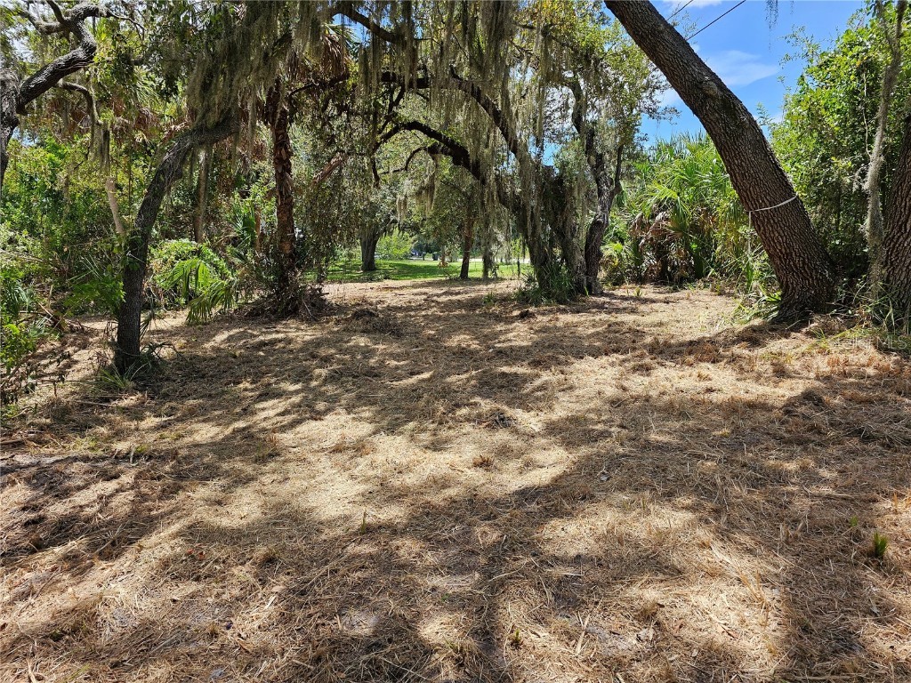 2504 2506 and 2508 River Bend Drive Ruskin FL 33570 - LITTLE MANATEE RIVER T3552955 image5