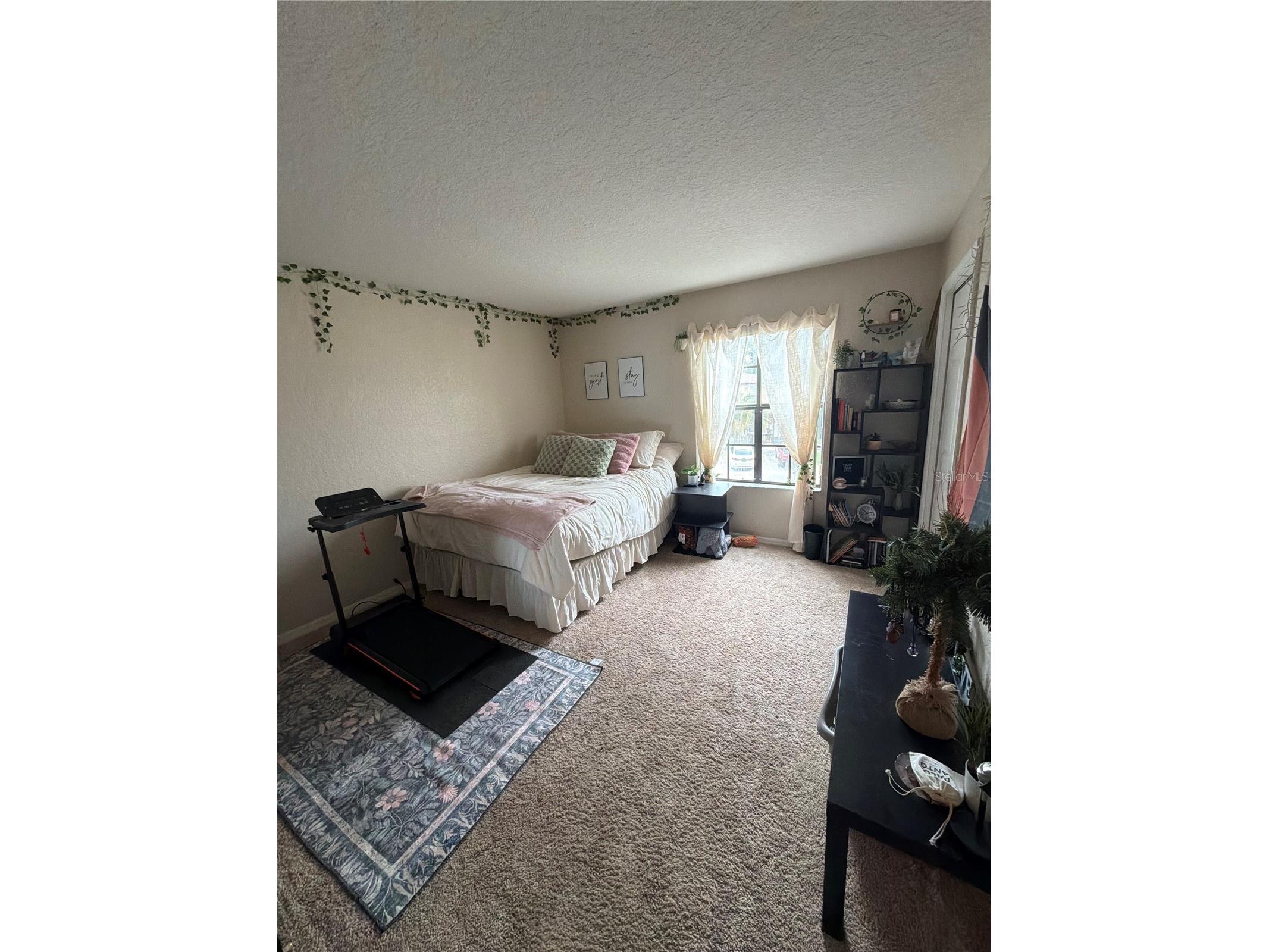 2504 Brigadoon Drive Clearwater FL 33759 TB8514104 image5