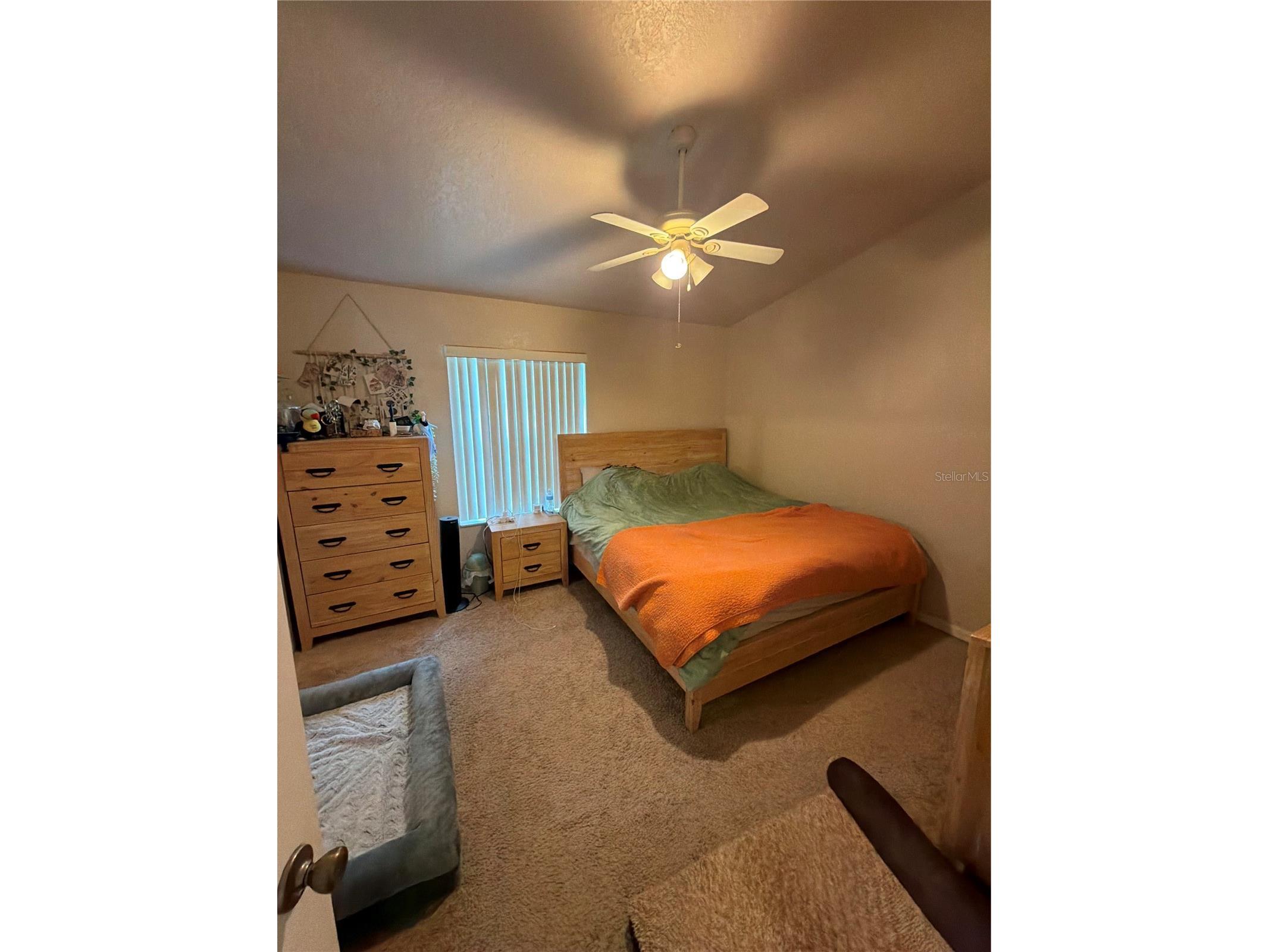 2504 Brigadoon Drive Clearwater FL 33759 TB8514104 image6