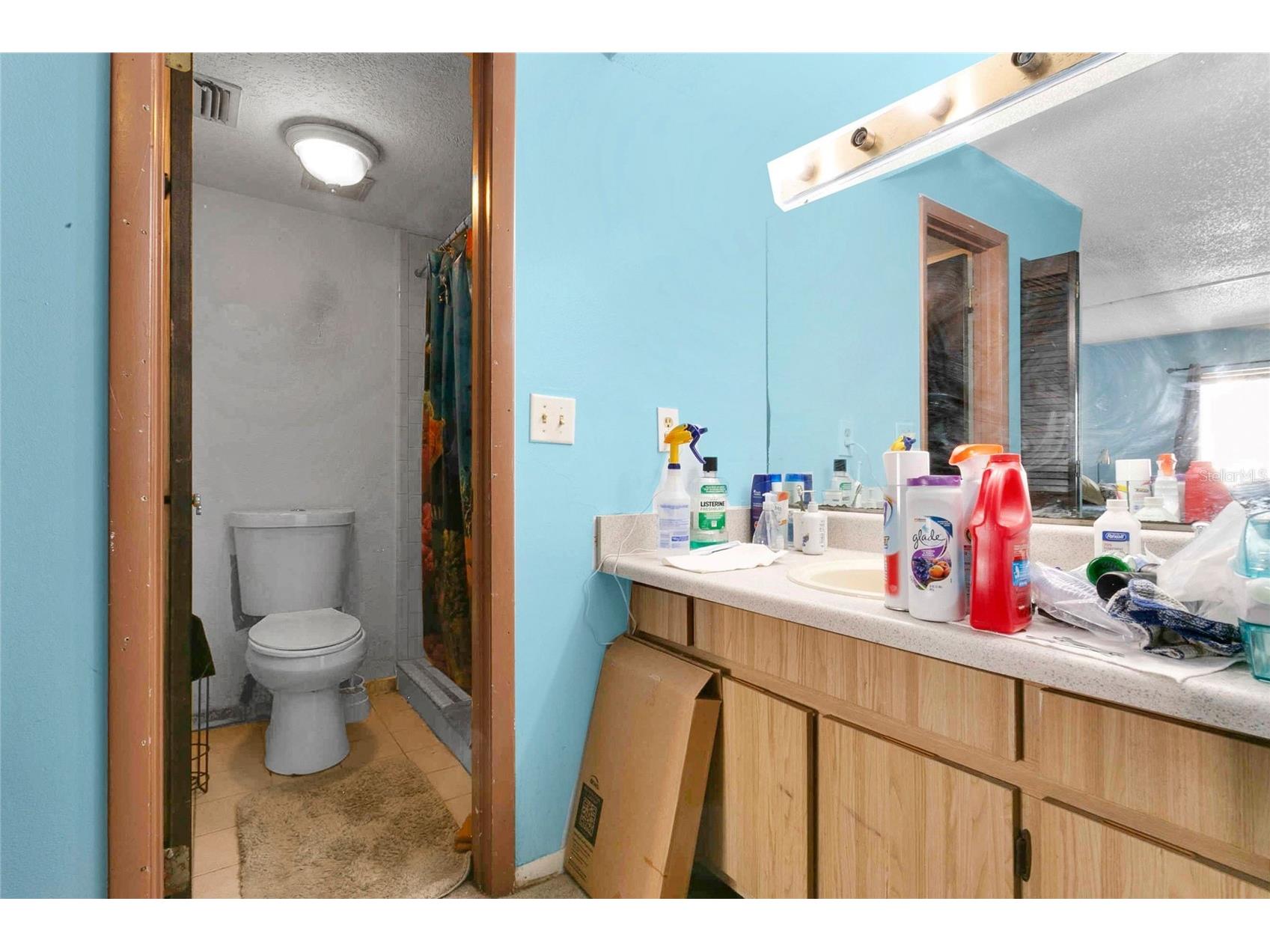 2504 Citrus Club Lane #301 Orlando FL 32839 O6421393 image13