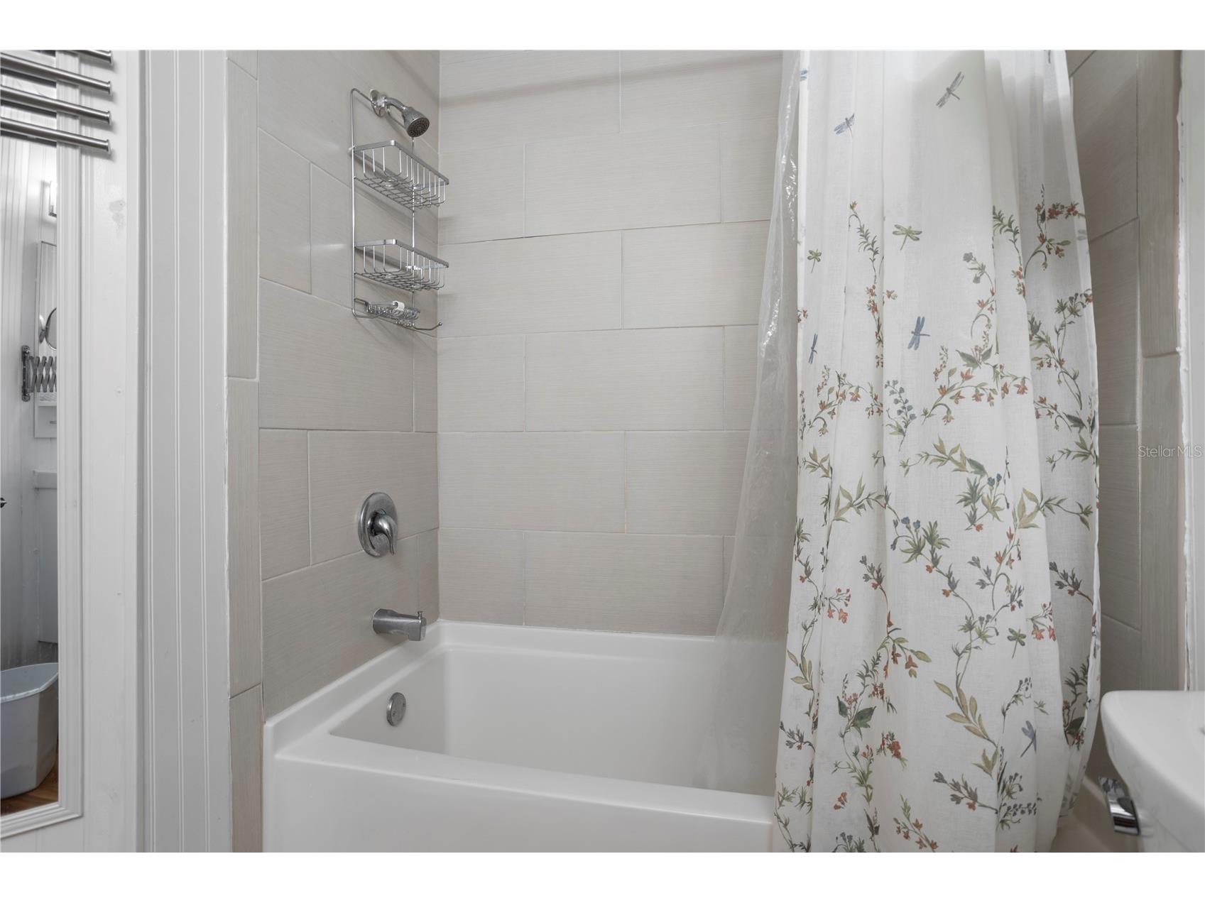 2504 Grassy Point Drive #100 Lake Mary FL 32746 O6423838 image17