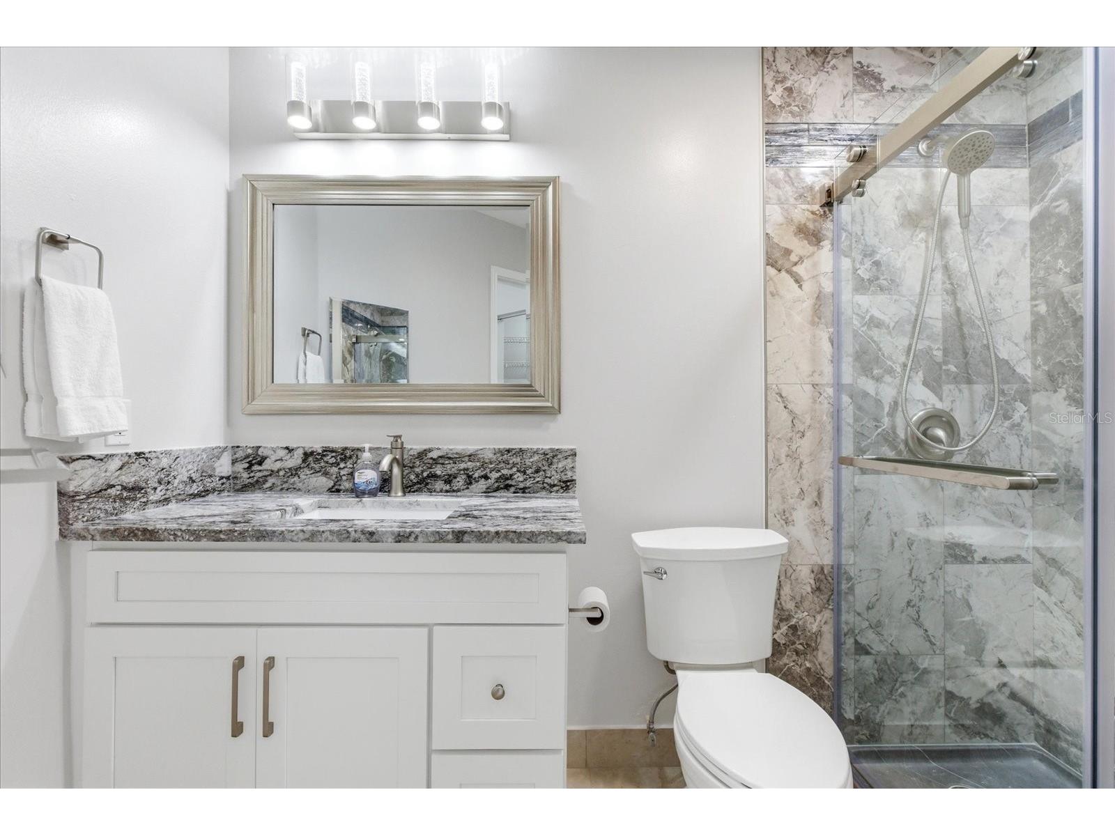 2504 Grassy Point Drive #204 Lake Mary FL 32746 O6400302 image16