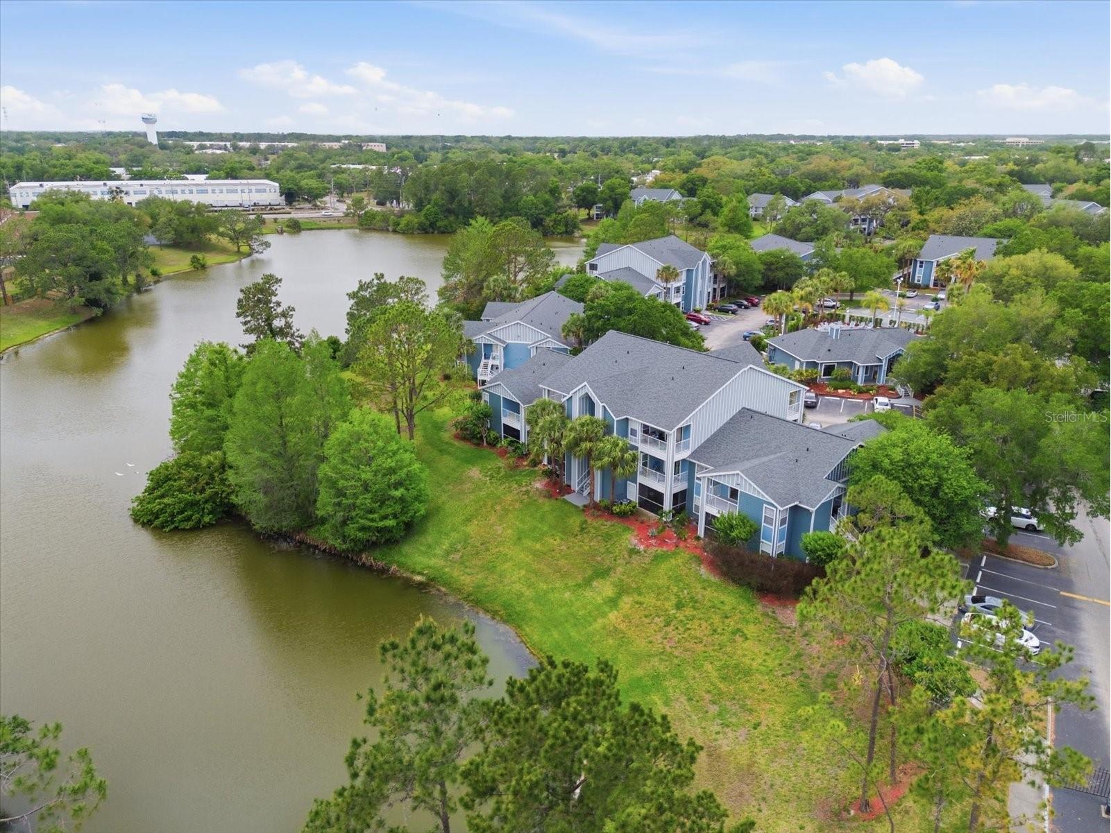 2504 Grassy Point Drive #204 Lake Mary FL 32746 O6400302 image26