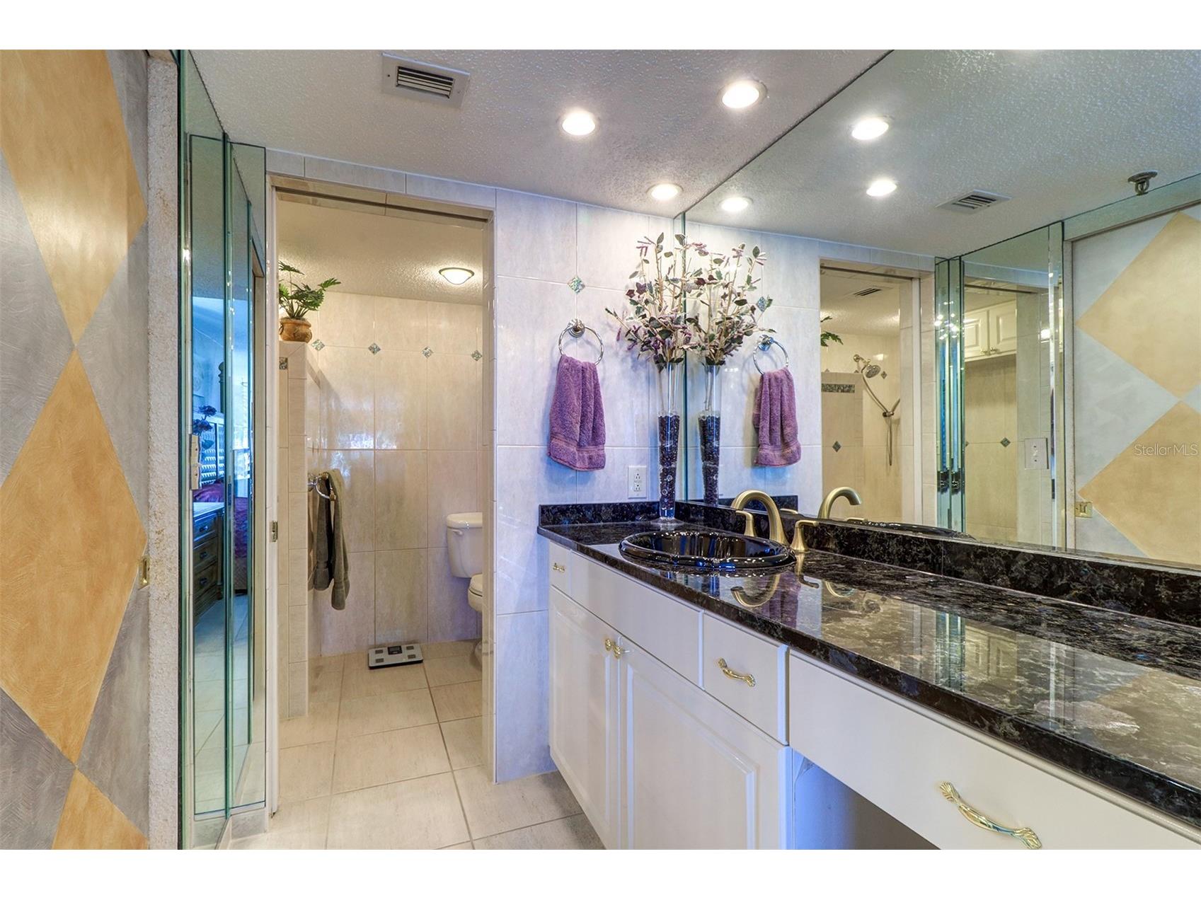 2504 Gulf Boulevard #201 Indian Rocks Beach FL 33785 - GULF OF MEXICO TB8384249 image26