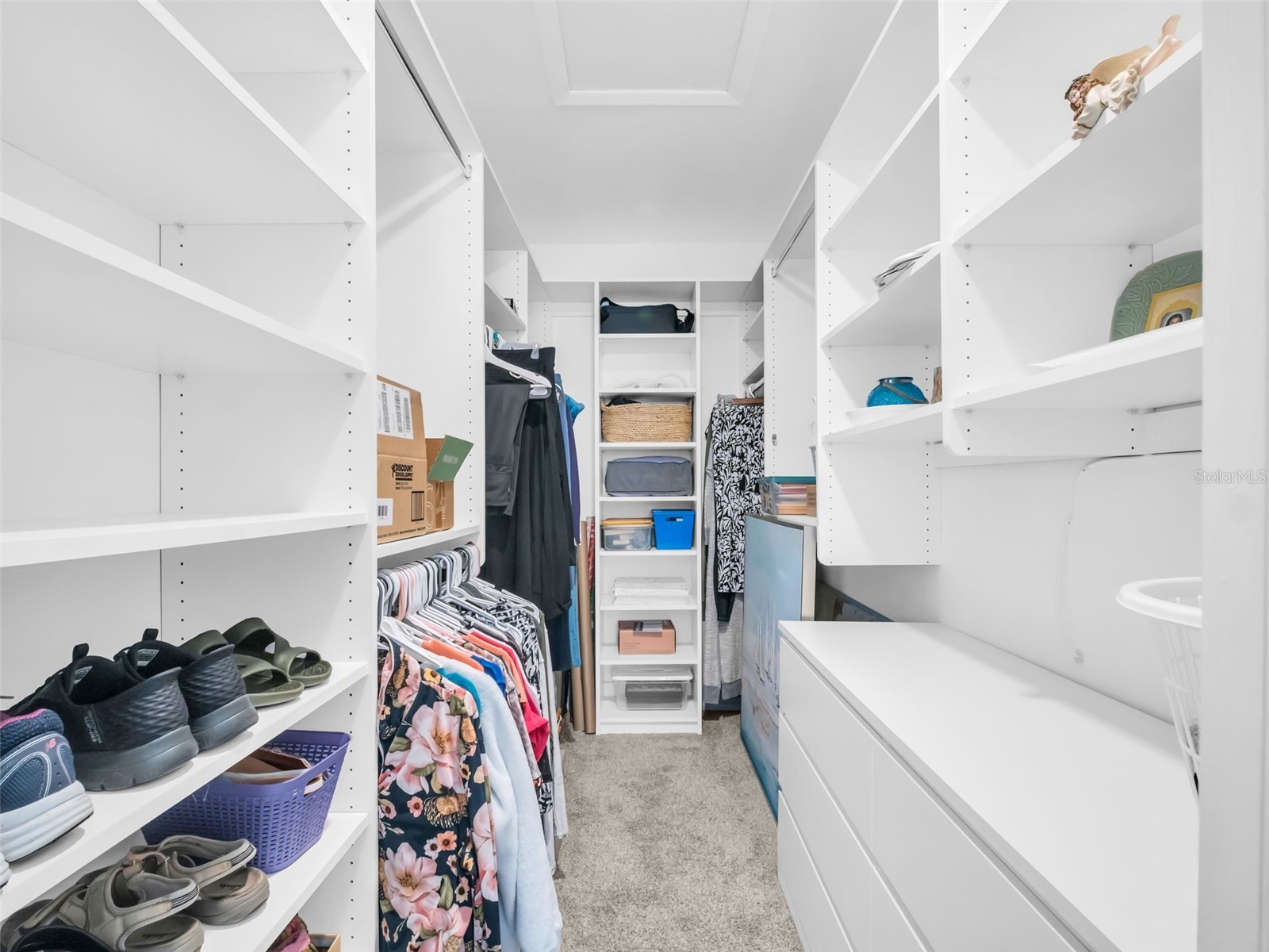 2504 Oak Circle Tarpon Springs FL 34689 TB8465867 image12