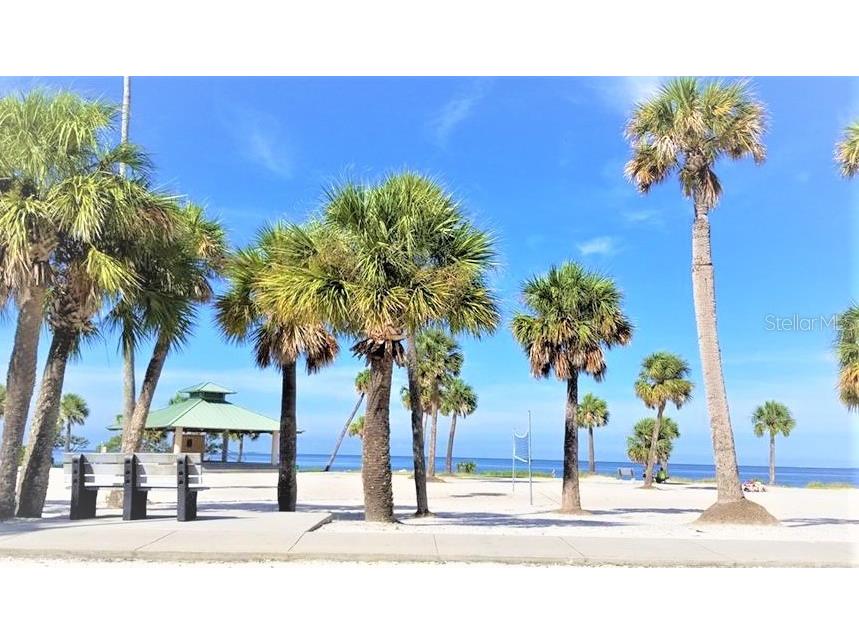 2504 Oak Circle Tarpon Springs FL 34689 TB8465867 image54