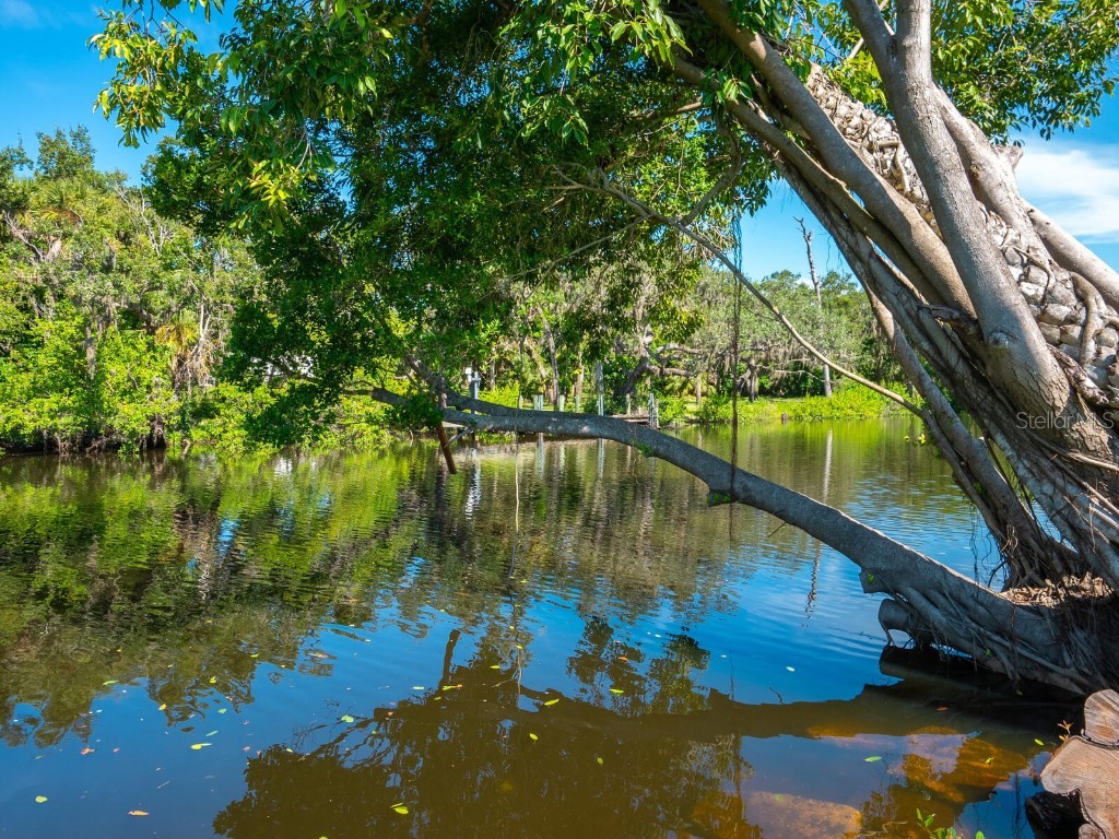 2504 Wilkinson Road Sarasota FL 34231 - PHILLIPPI CREEK A4658829 image12