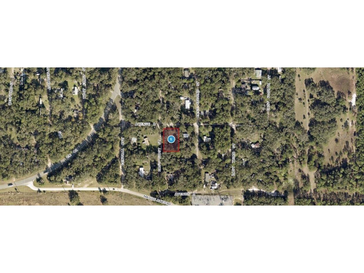 25040 E Avenue B Paisley FL 32767 O6301349 image1