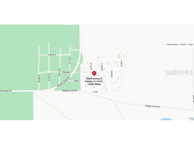 25040 E Avenue B Paisley FL 32767 O6301349 image10